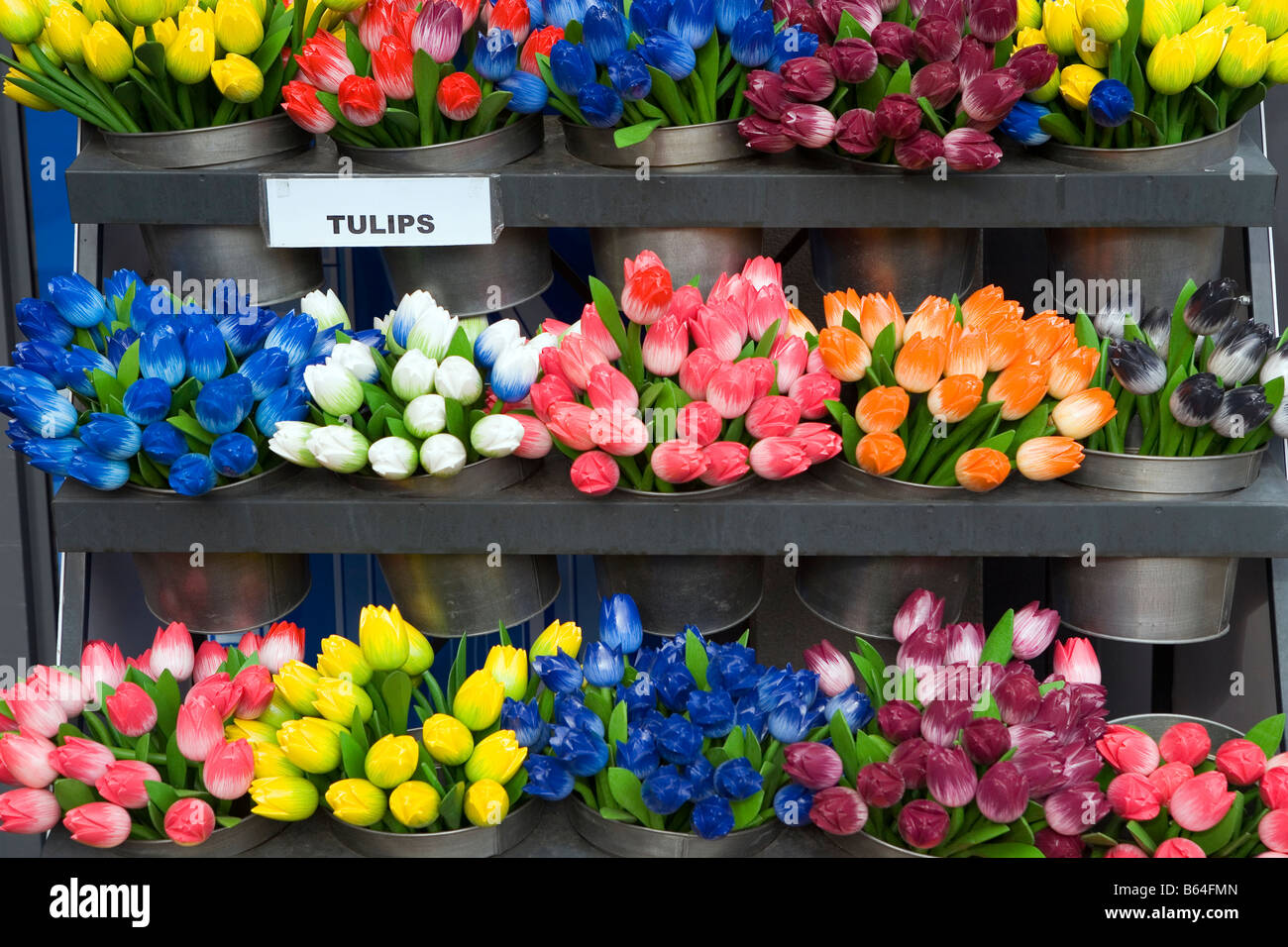 Tulip national flower netherlands hires stock photography and images