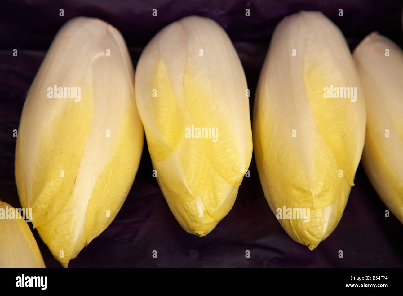 chicory hearts france market Stock Photo