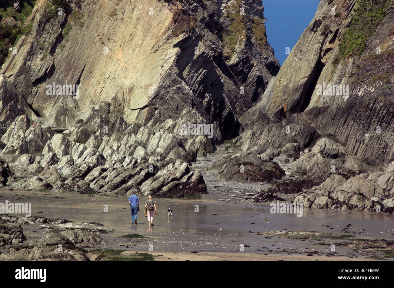 A couple walking their dog on the beach with dramatic cliffs Stock Photo