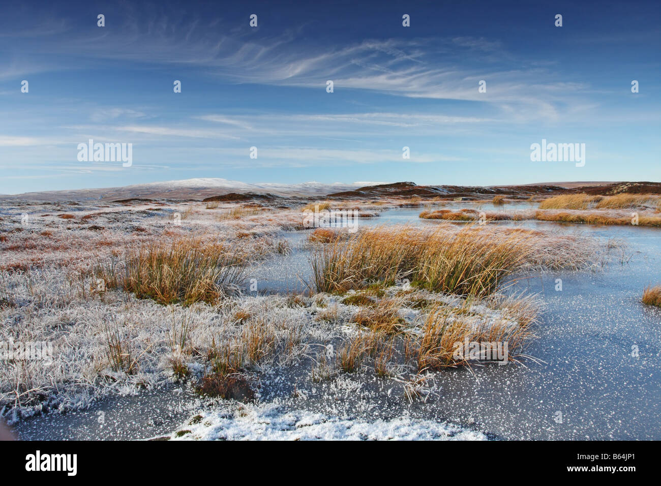 Frozen Tarn and Frosted Rushes Cronkley Fell Upper Teesdale County Durham Stock Photo