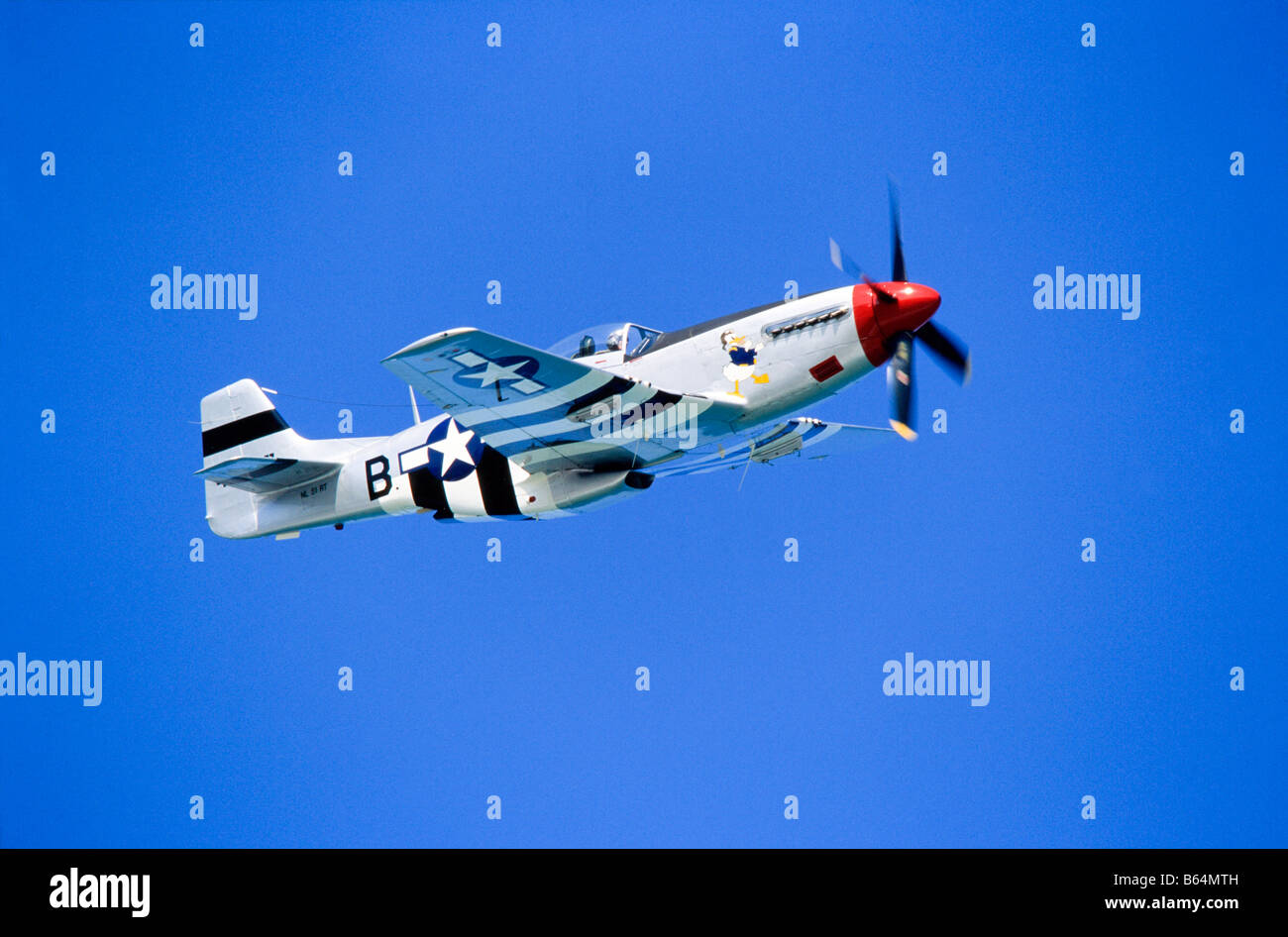 P-51 Mustang in Flight Stock Photo