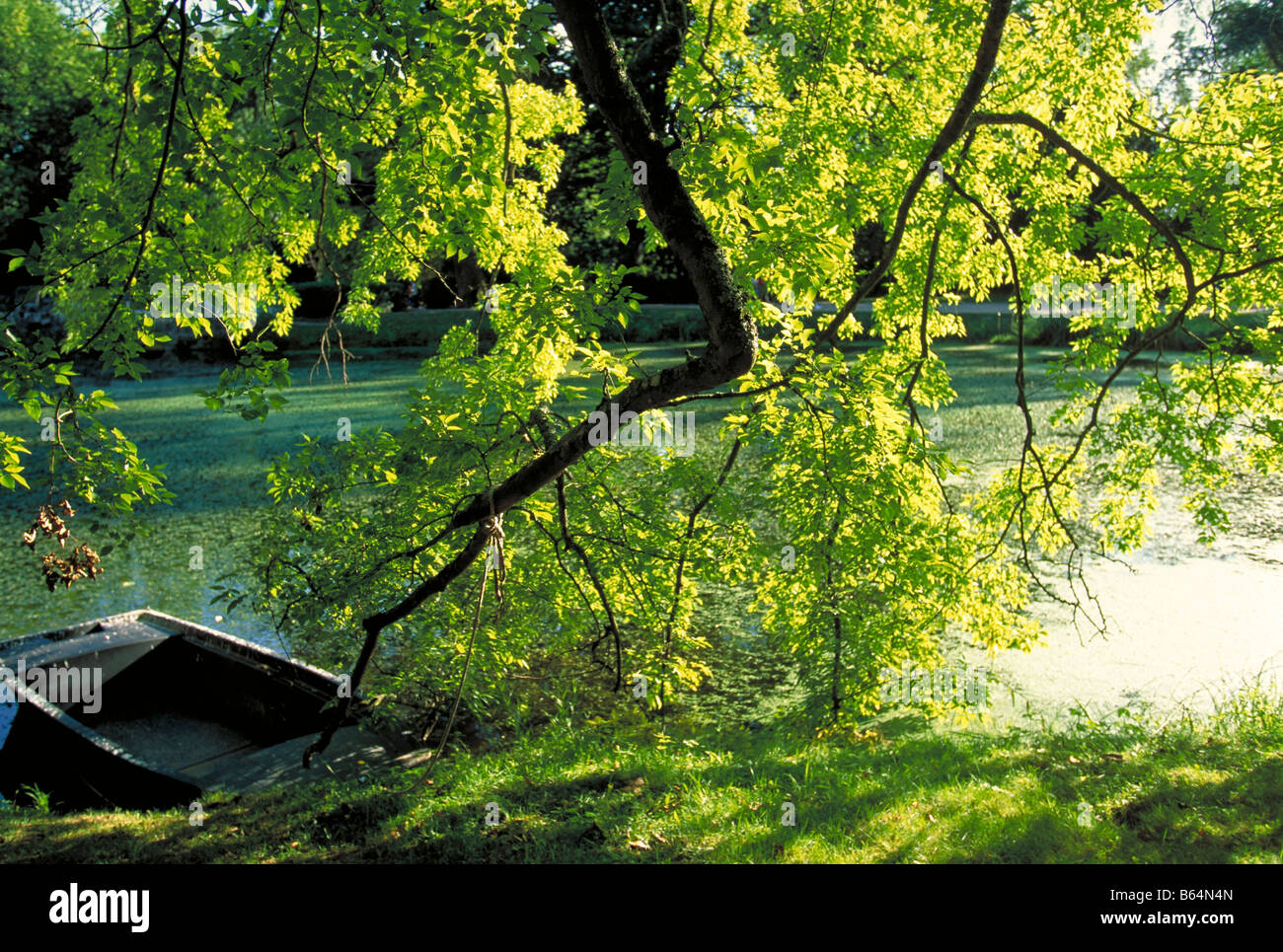 Elk165 1046 France Loire Valley Azay-le-Rideau pond Stock Photo