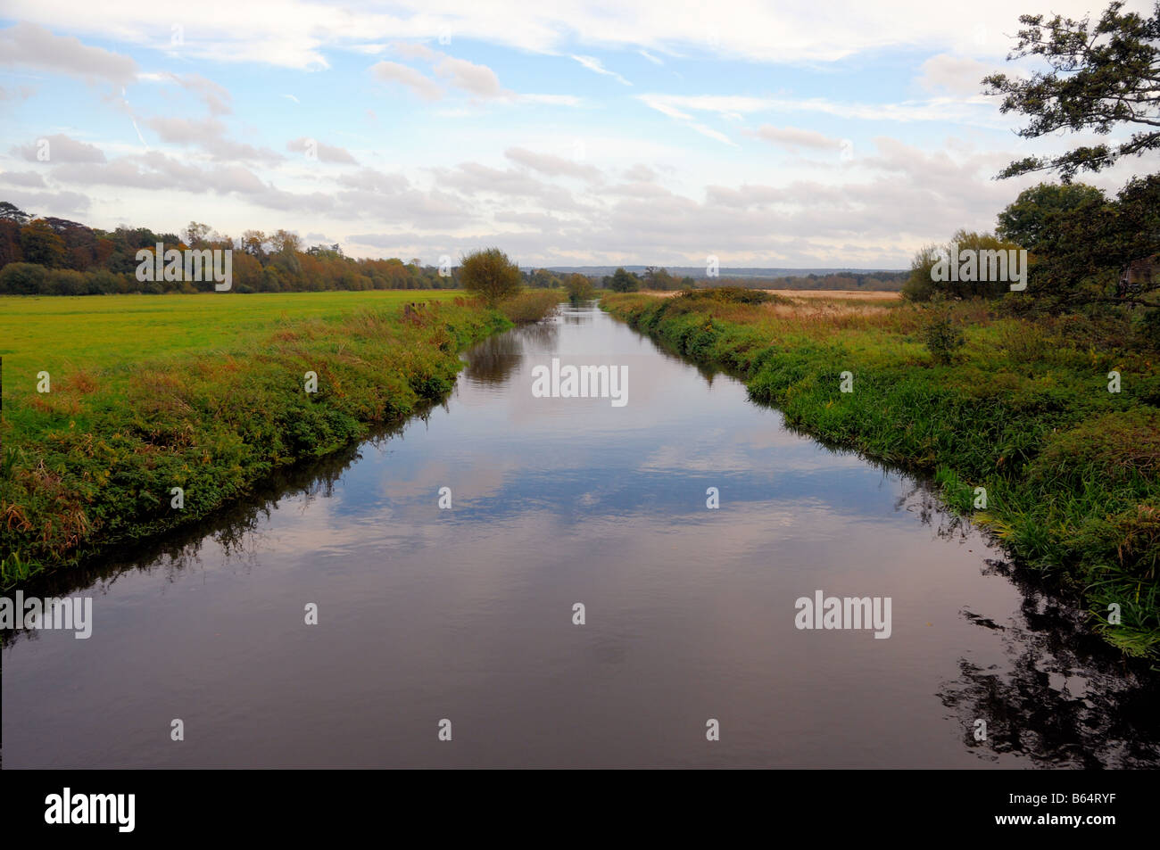 View down the River Wey near the village of Send in Surrey England Stock Photo