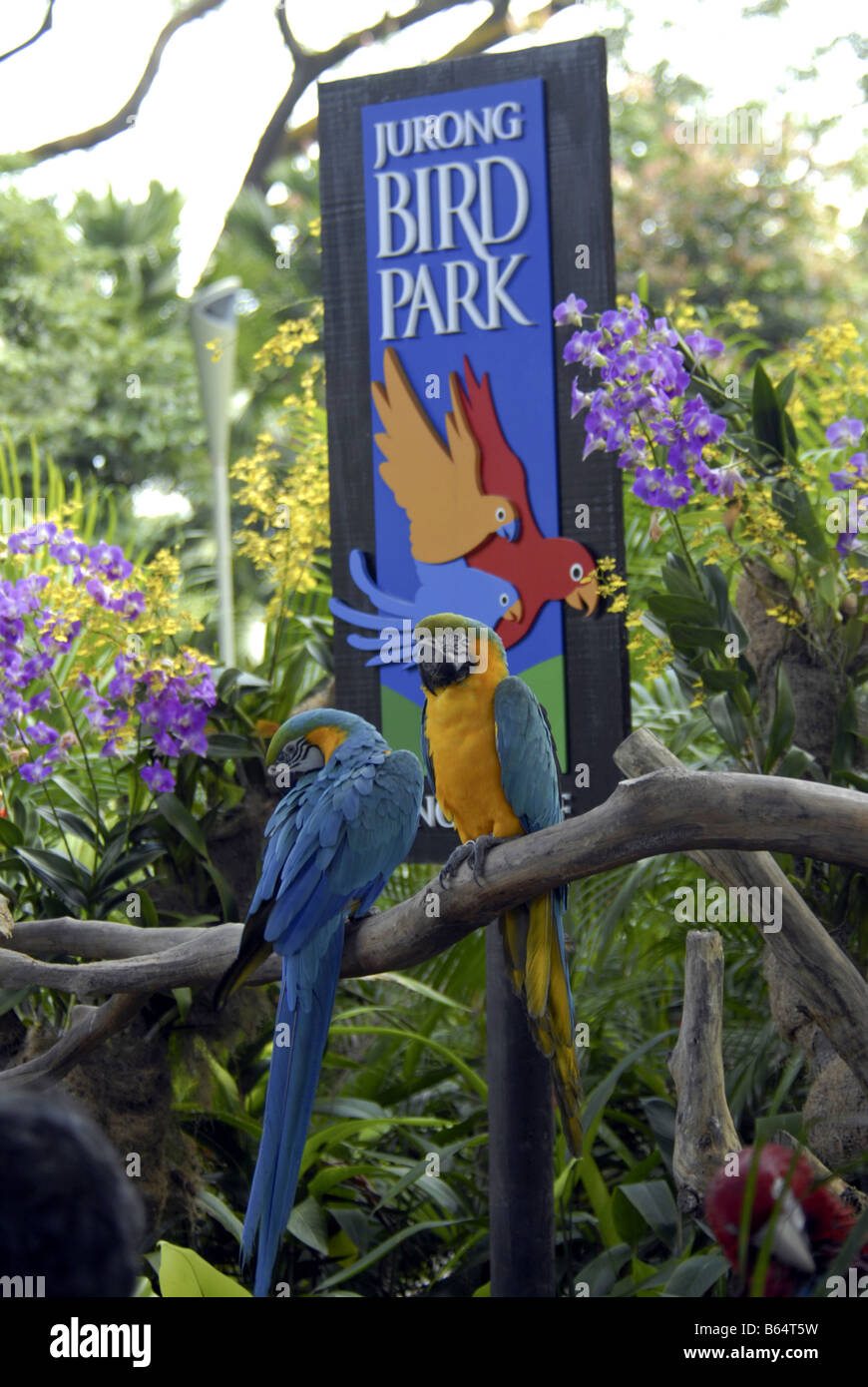 JURONG BIRD PARK IN SINGAPORE Stock Photo Alamy
