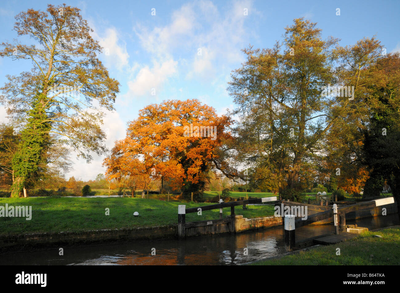 The autumn colours stand out on the trees at Worsfold Gates on the River Wey Navigation in Surrey England Stock Photo
