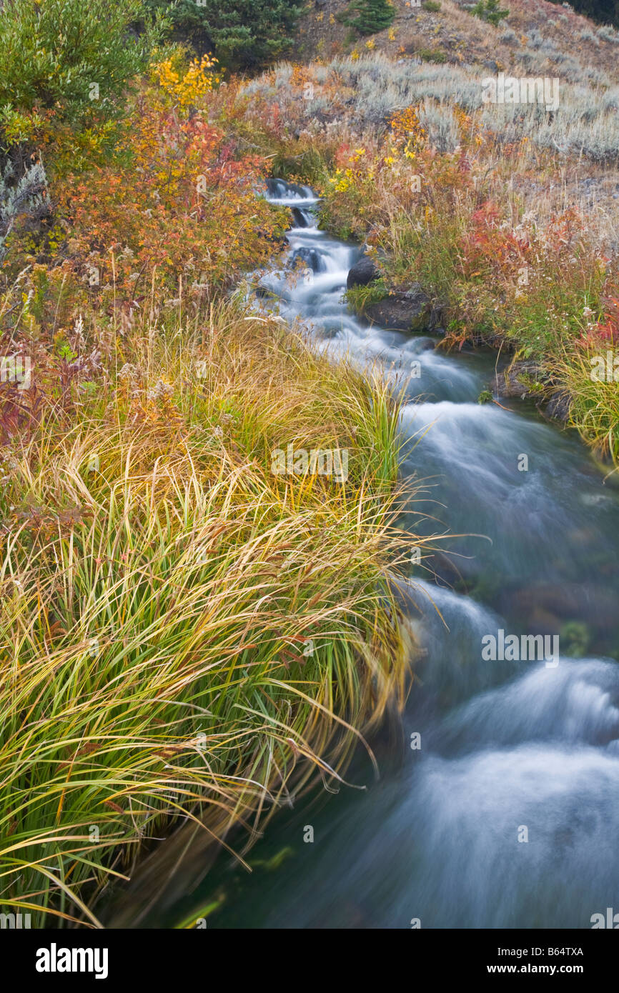 Small stream flows in yellowstone hi-res stock photography and images ...