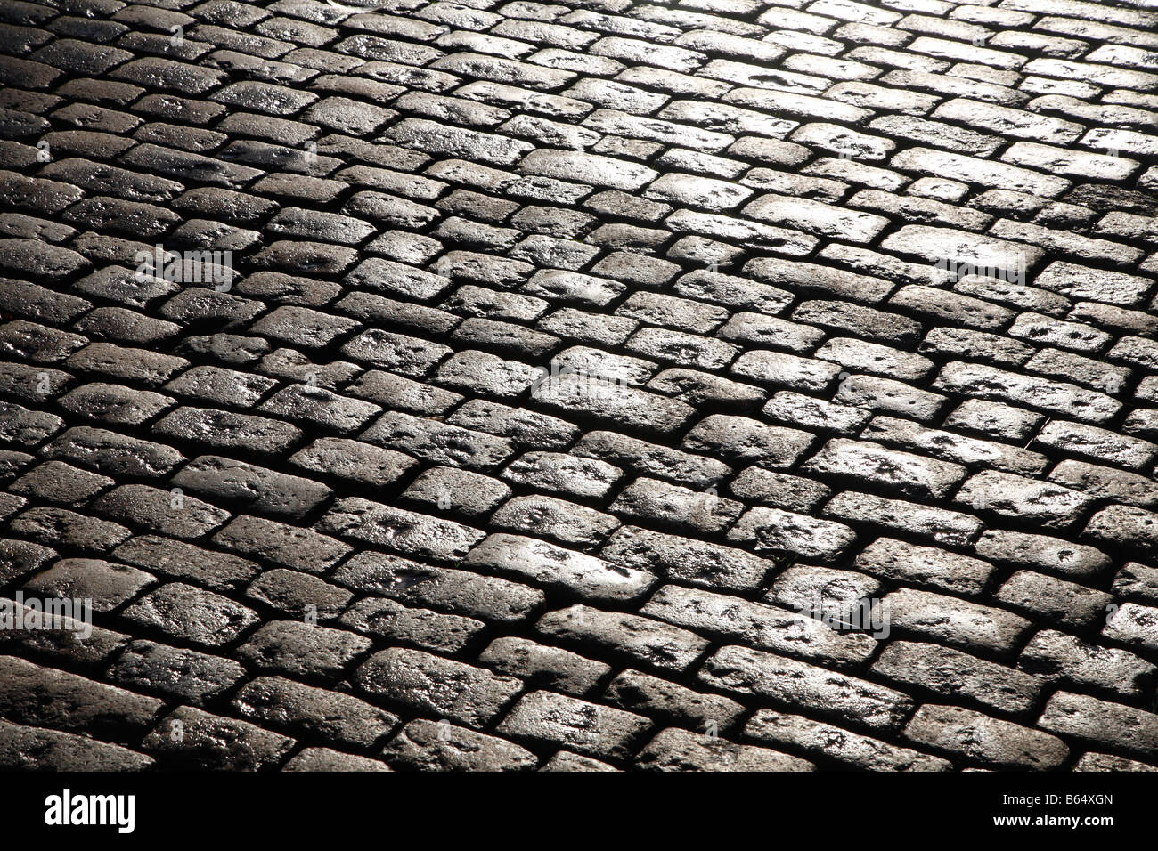 Shiny wet cobblestones in Plymouth, Devon UK. Stock Photo