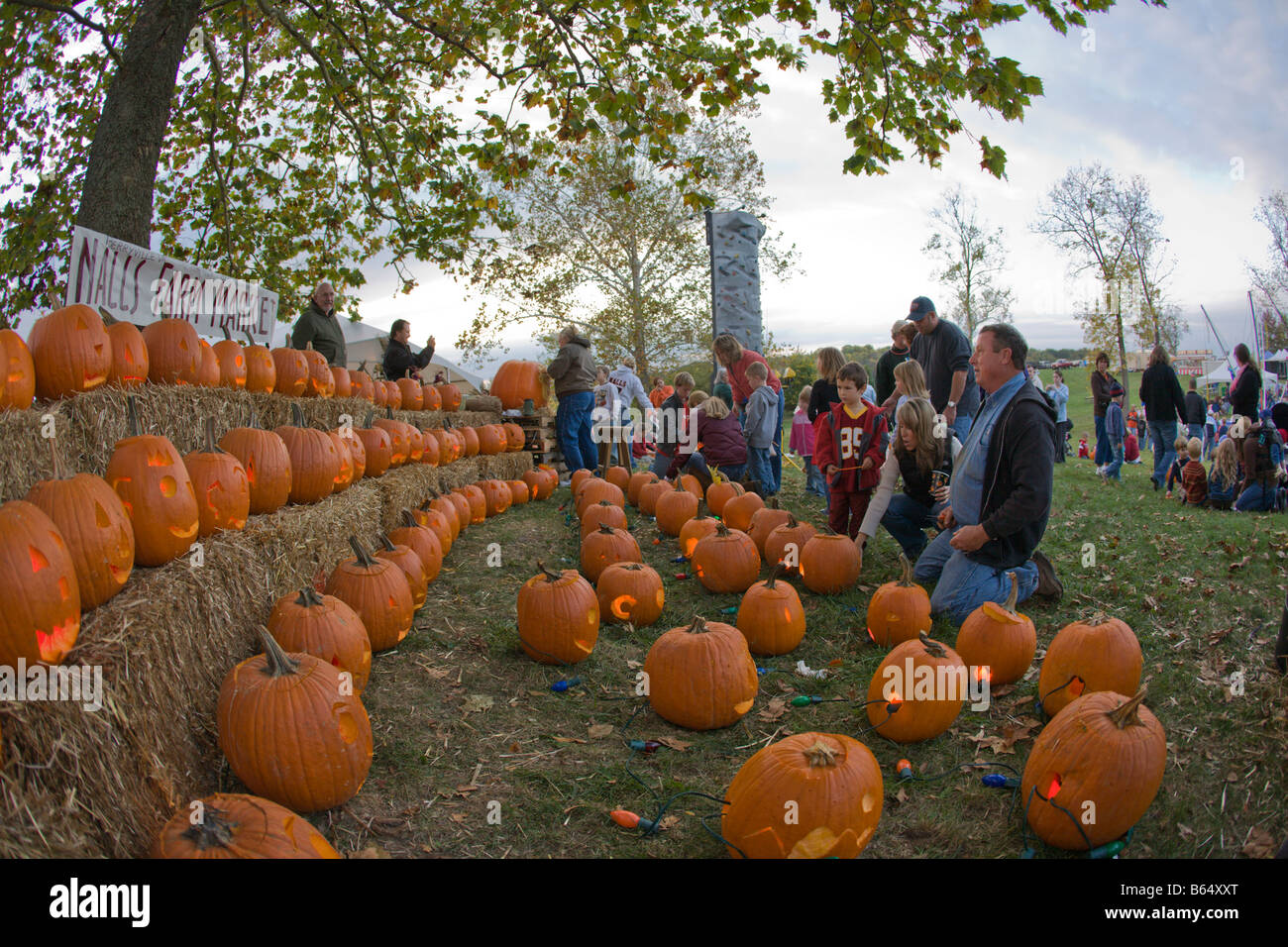 Families carve pumpkins at the 2008 Shenandoah Valley Hot Air Balloon in Historic Long Branch in Millwood, Virginia Stock Photo