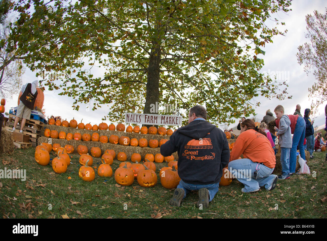 Families carve pumpkins at the 2008 Shenandoah Valley Hot Air Balloon and Wine Festival in millwood, Virginia Stock Photo