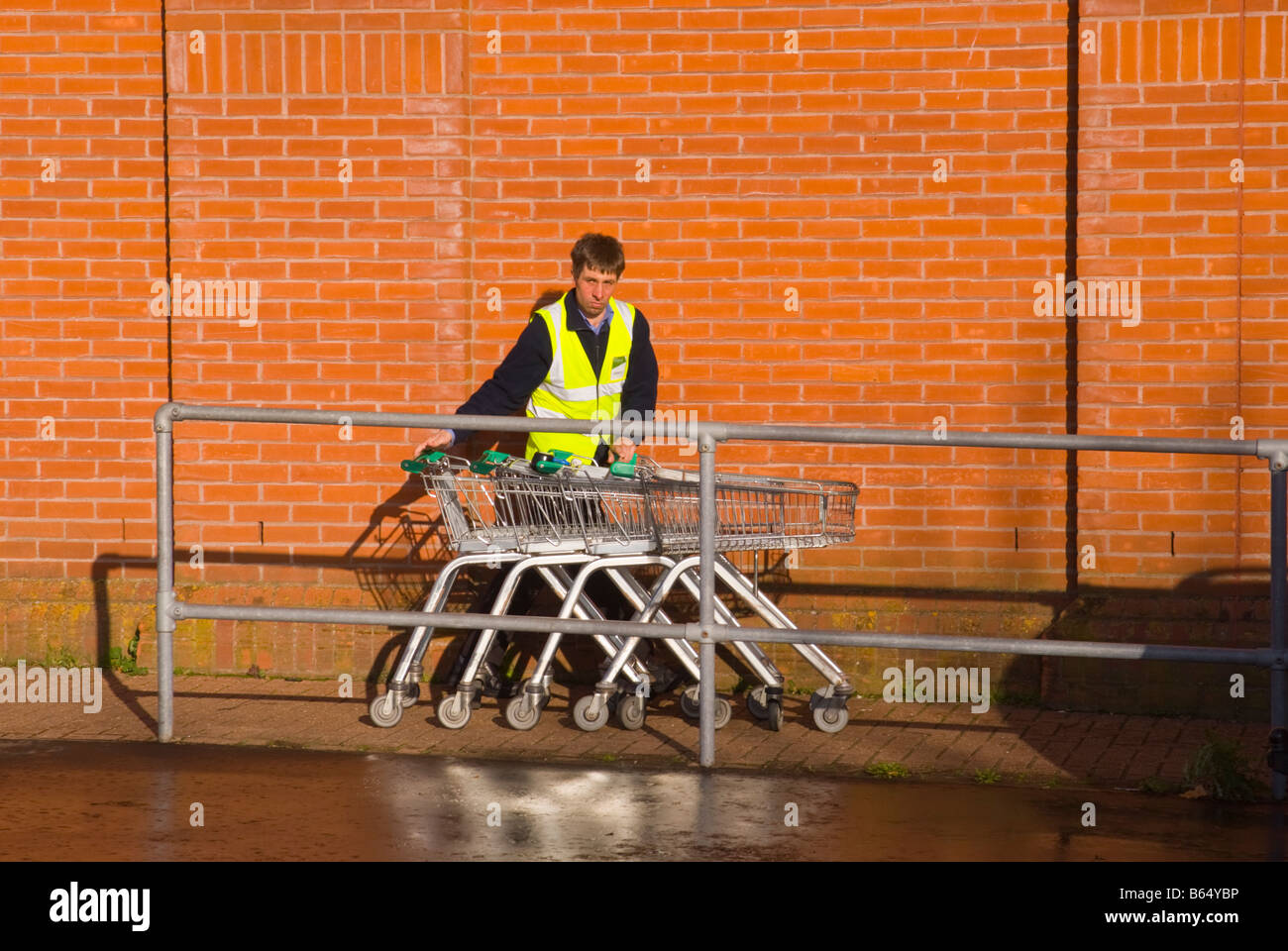 A supermarket staff worker collecting shopping trollies and pushing ...