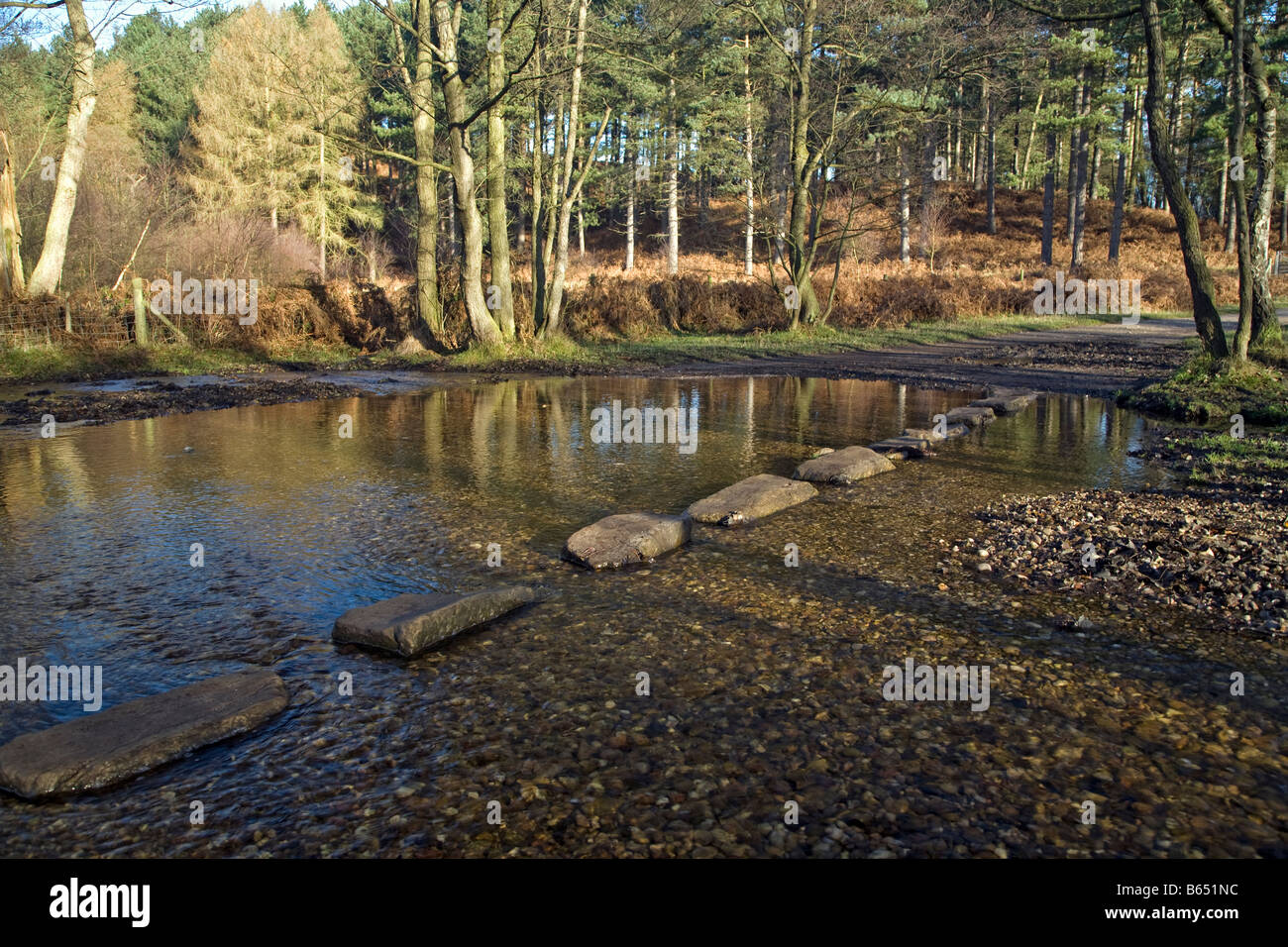 Stepping Stones on Cannock Chase, Staffordshire in Autumn Stock Photo