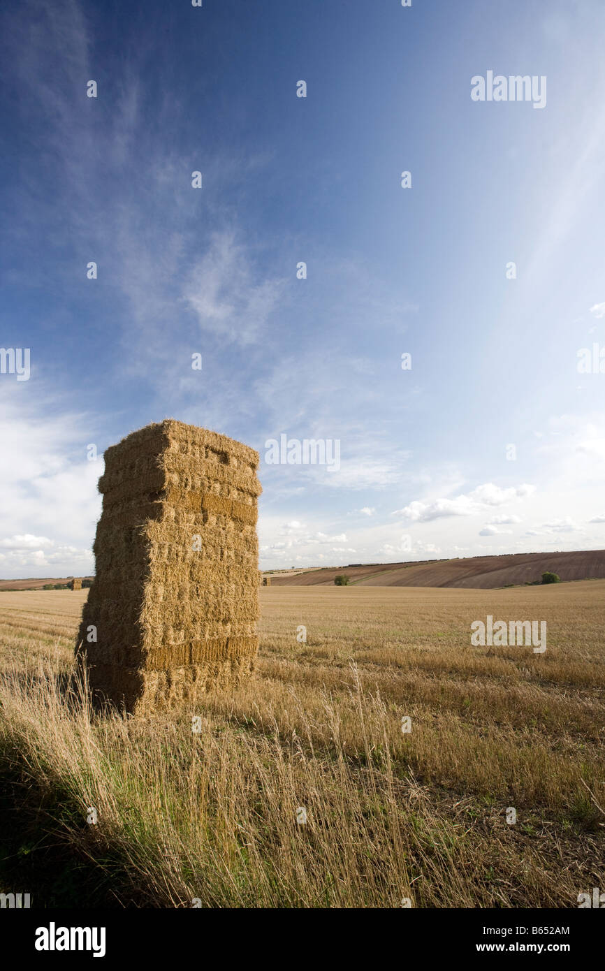 Oat straw bales hires stock photography and images Alamy