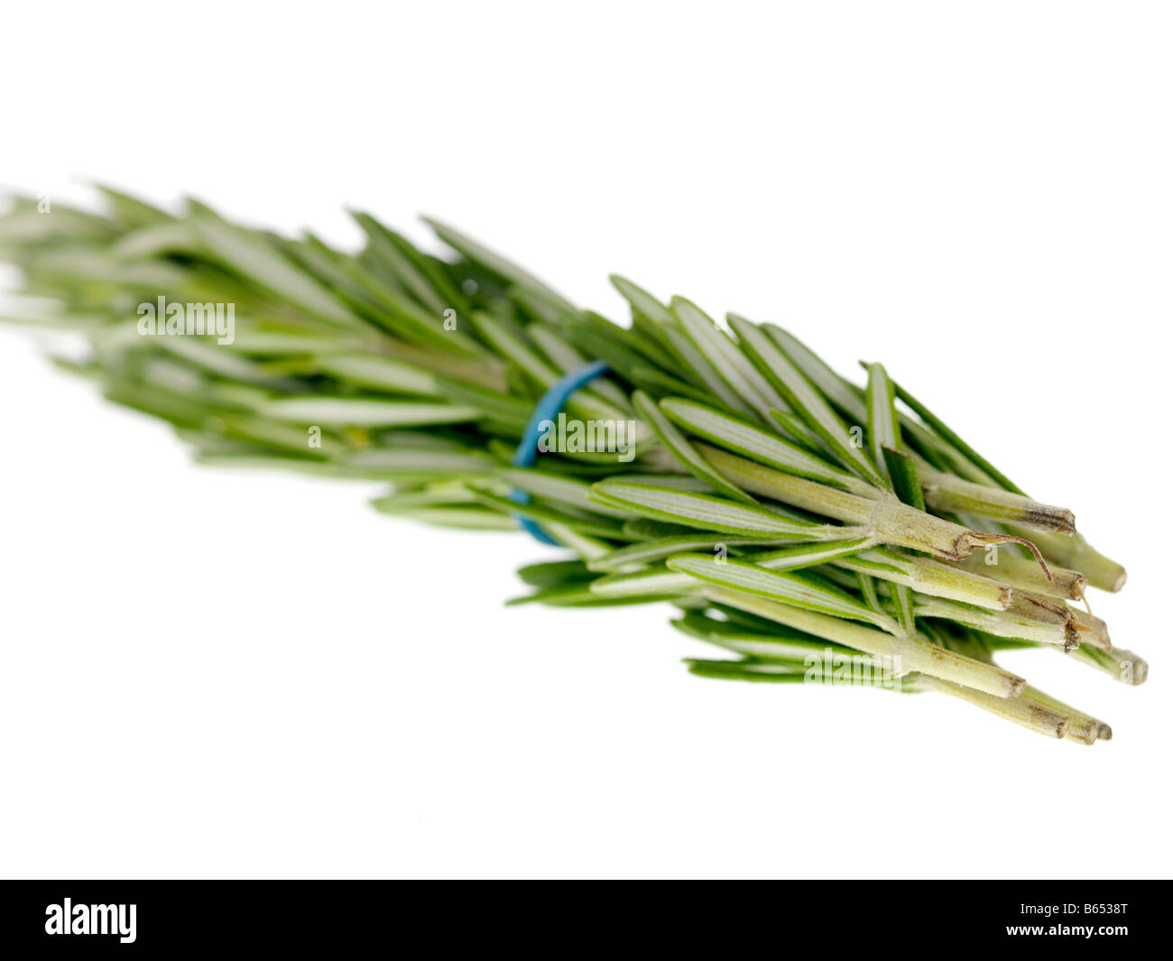 Bunch Of Rosemary Stock Photo - Alamy