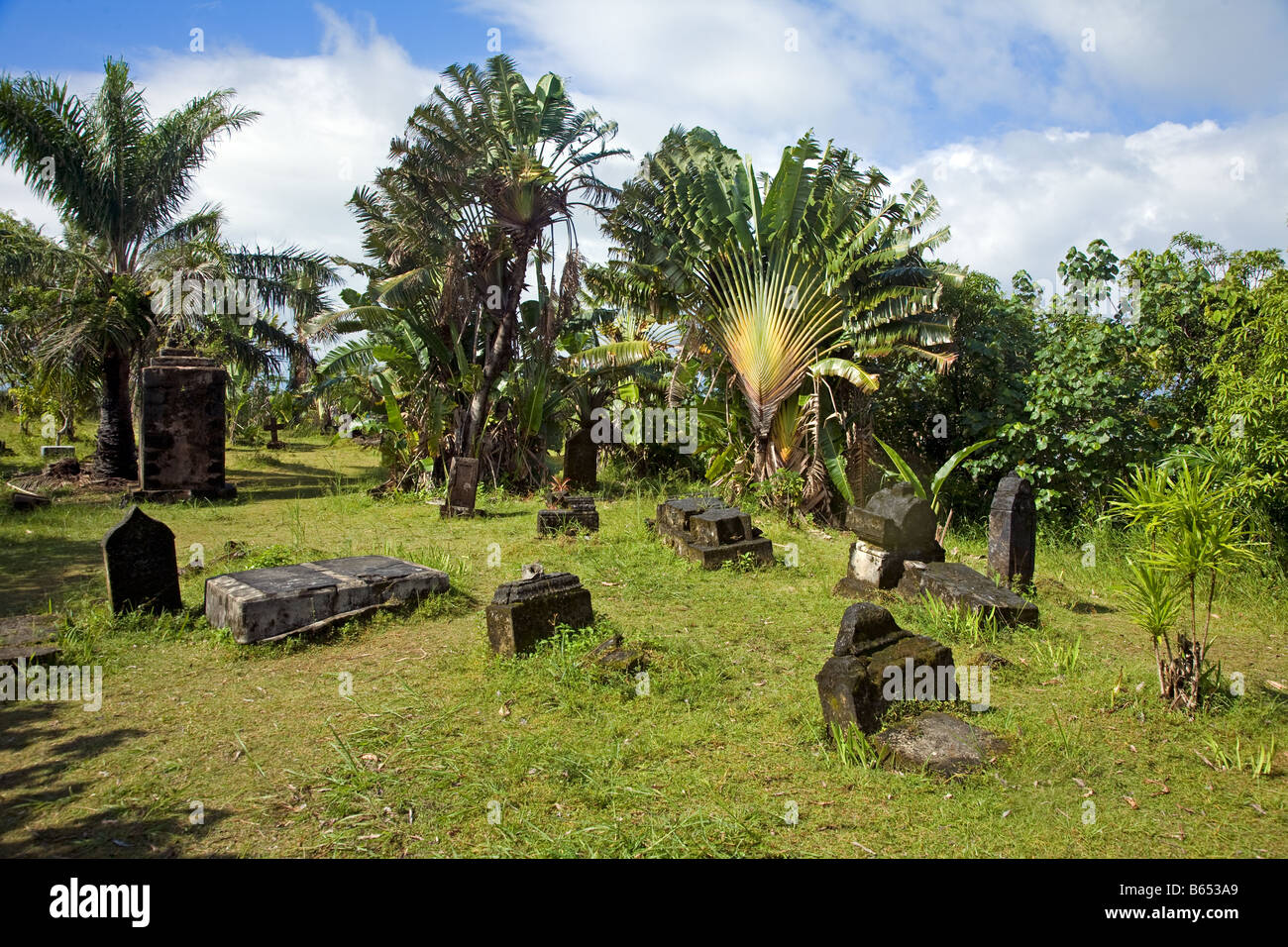 pirate cemetery on L´ile Saint Marie Nosy Borahawith fan palm, also known as traveller’s tree Piratenfriedhof Stock Photo