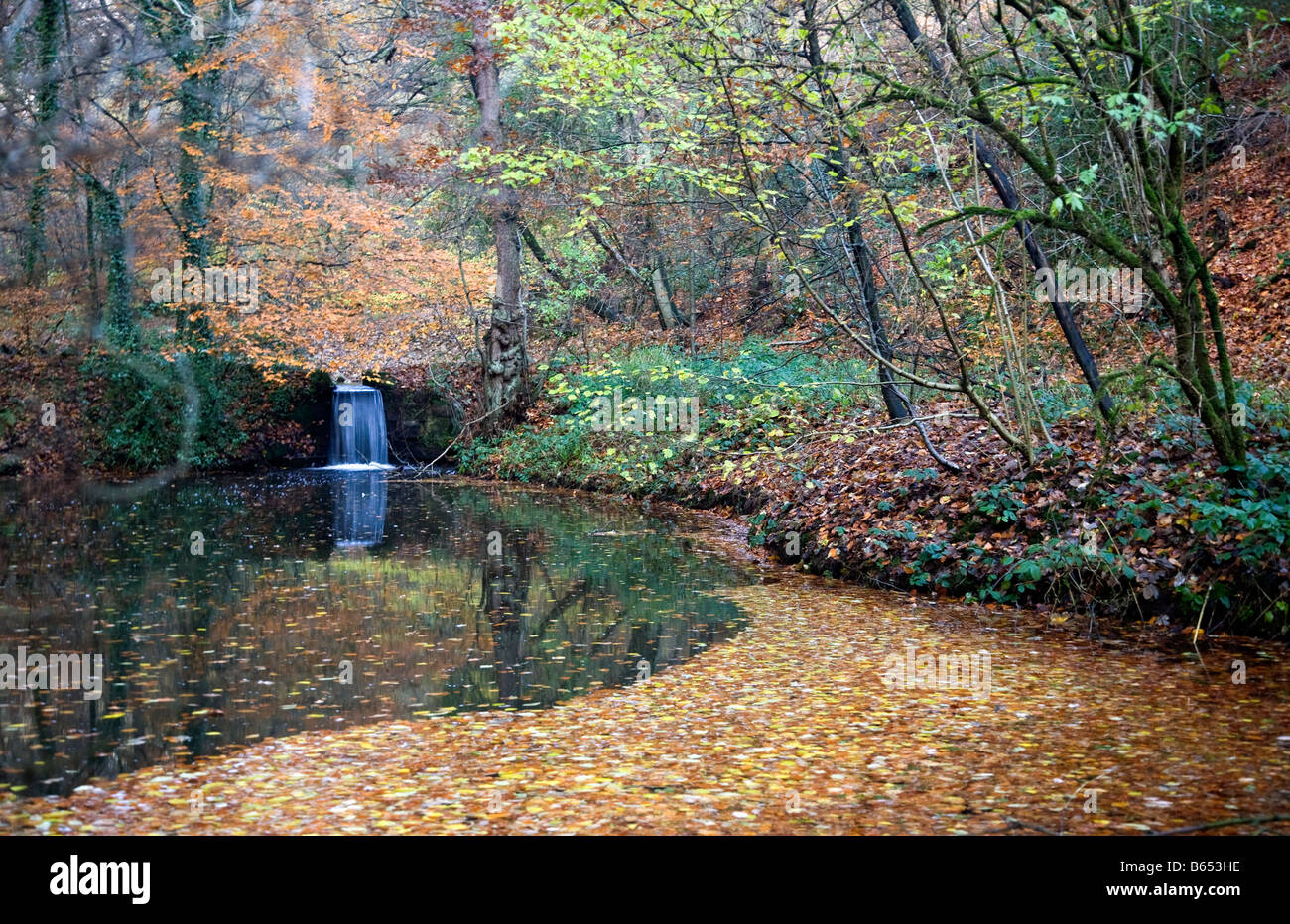 Small waterfall River Churnet Dimmings Dale in autumn Stock Photo