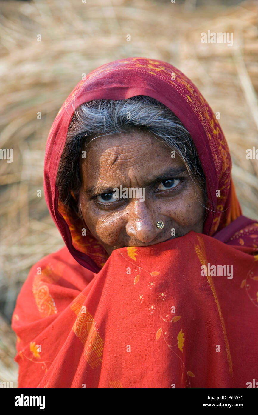 Senior indian woman wearing saree hi-res stock photography and images ...