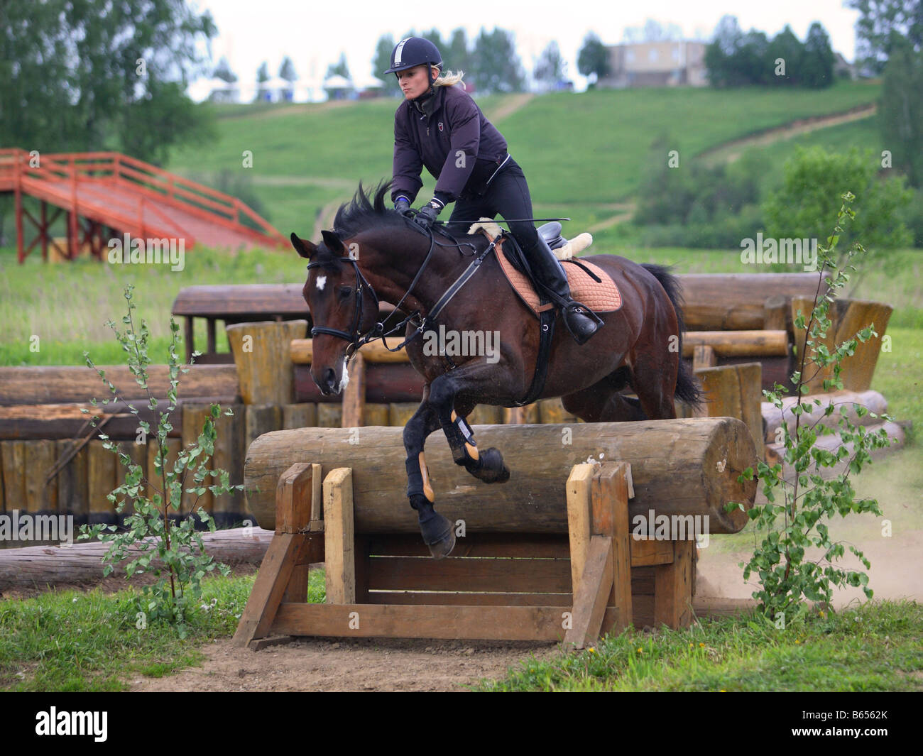One day eventing hi-res stock photography and images - Alamy
