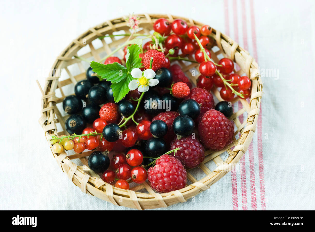 Variety of berries in wooden basket Stock Photo