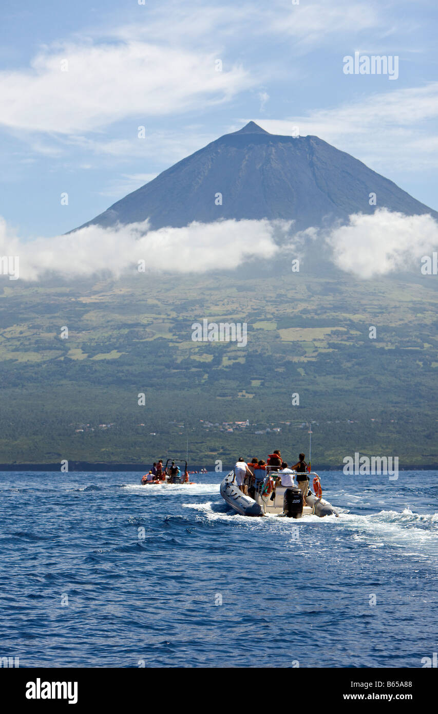 Tourists at Whale watching Tour Azores Atlantic Ocean Portugal Stock Photo