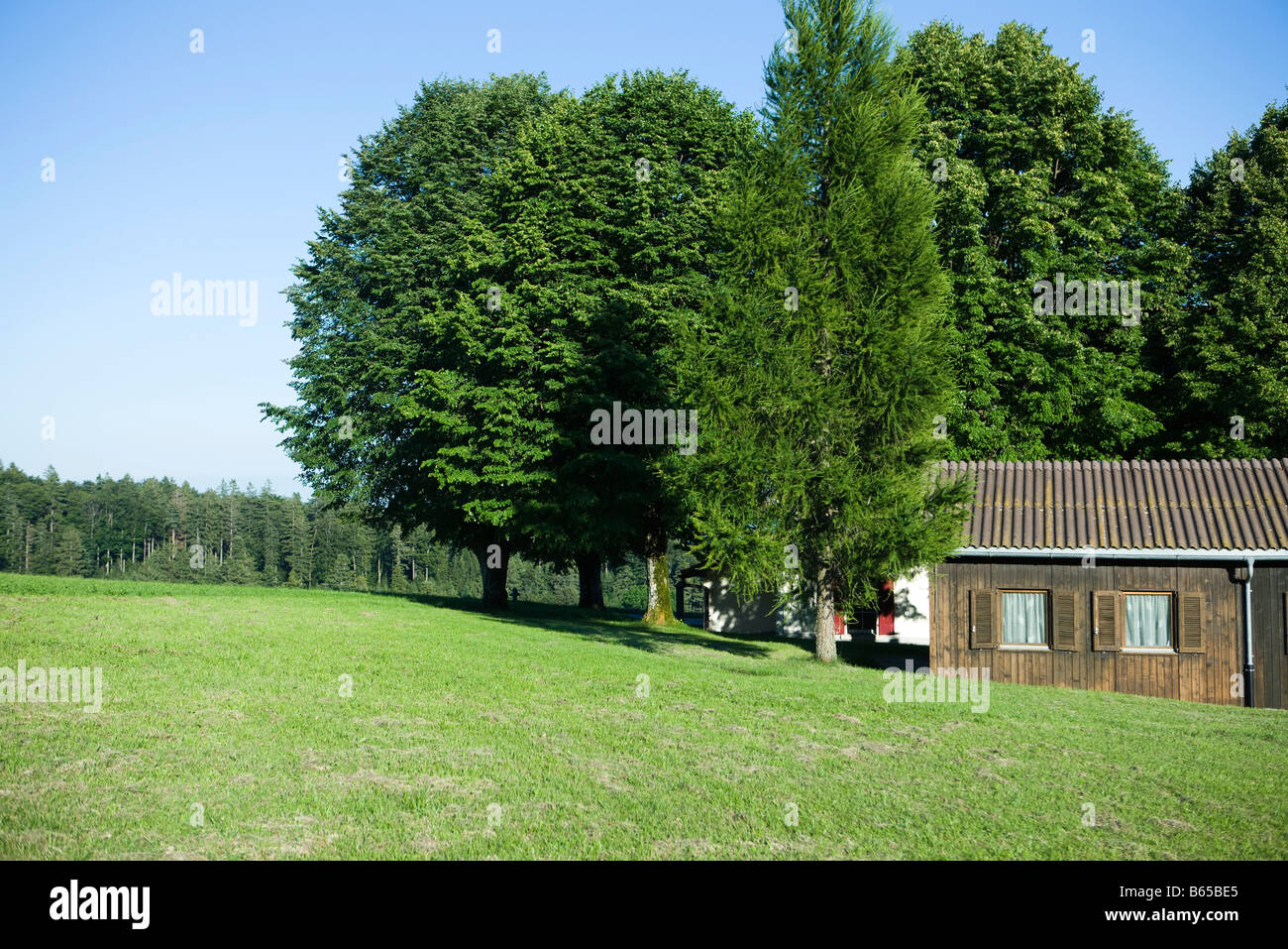 Wooden house at edge of the woods Stock Photo