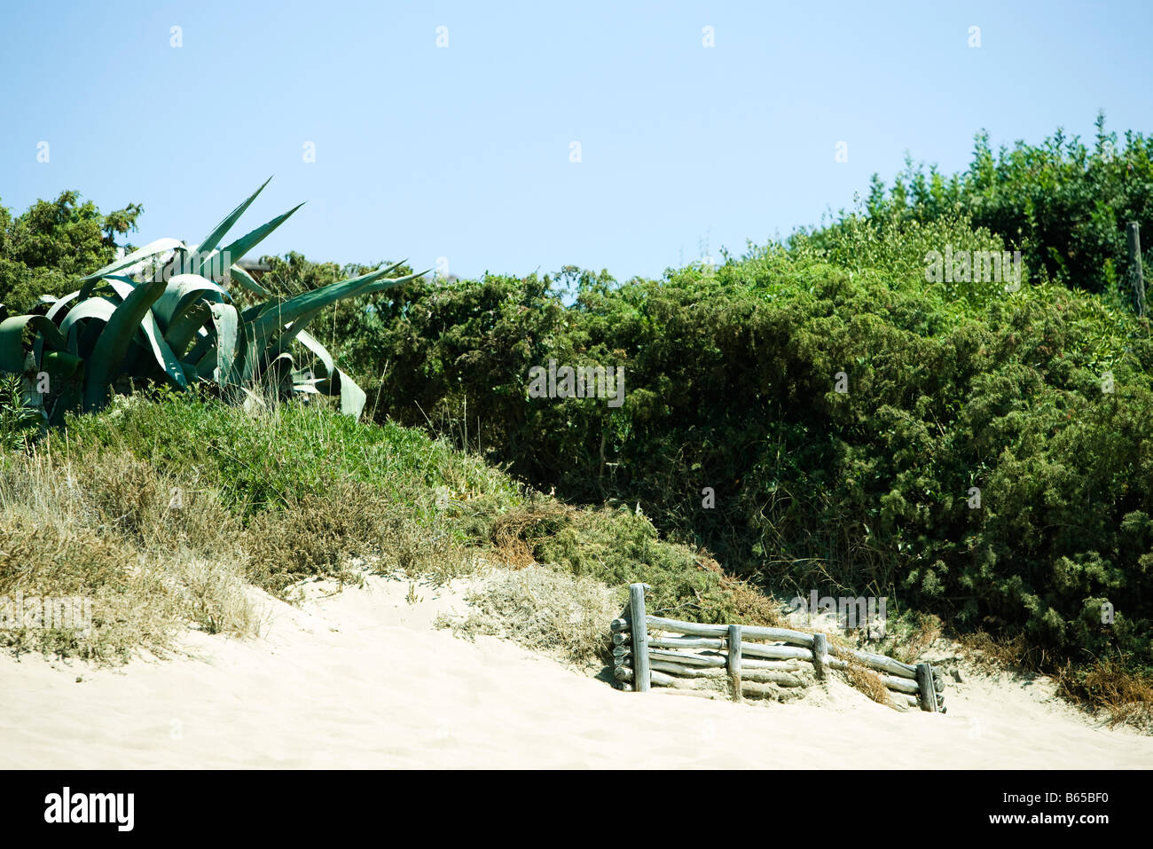 Sandy dune covered with vegetation, section of log fence at base of hill Stock Photo