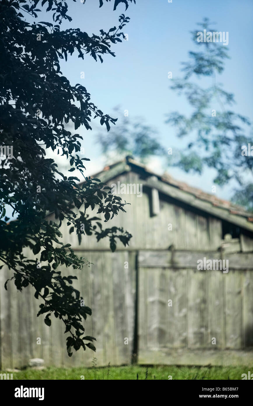 Old wooden barn, tree branches in foreground Stock Photo