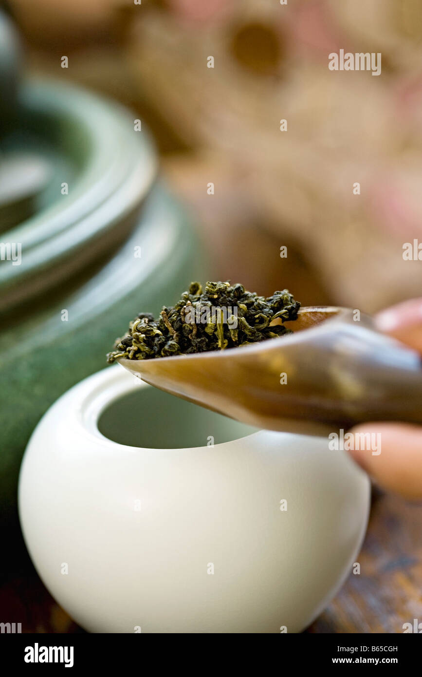 Tea scoop pouring loose tea leaves into teapot Stock Photo