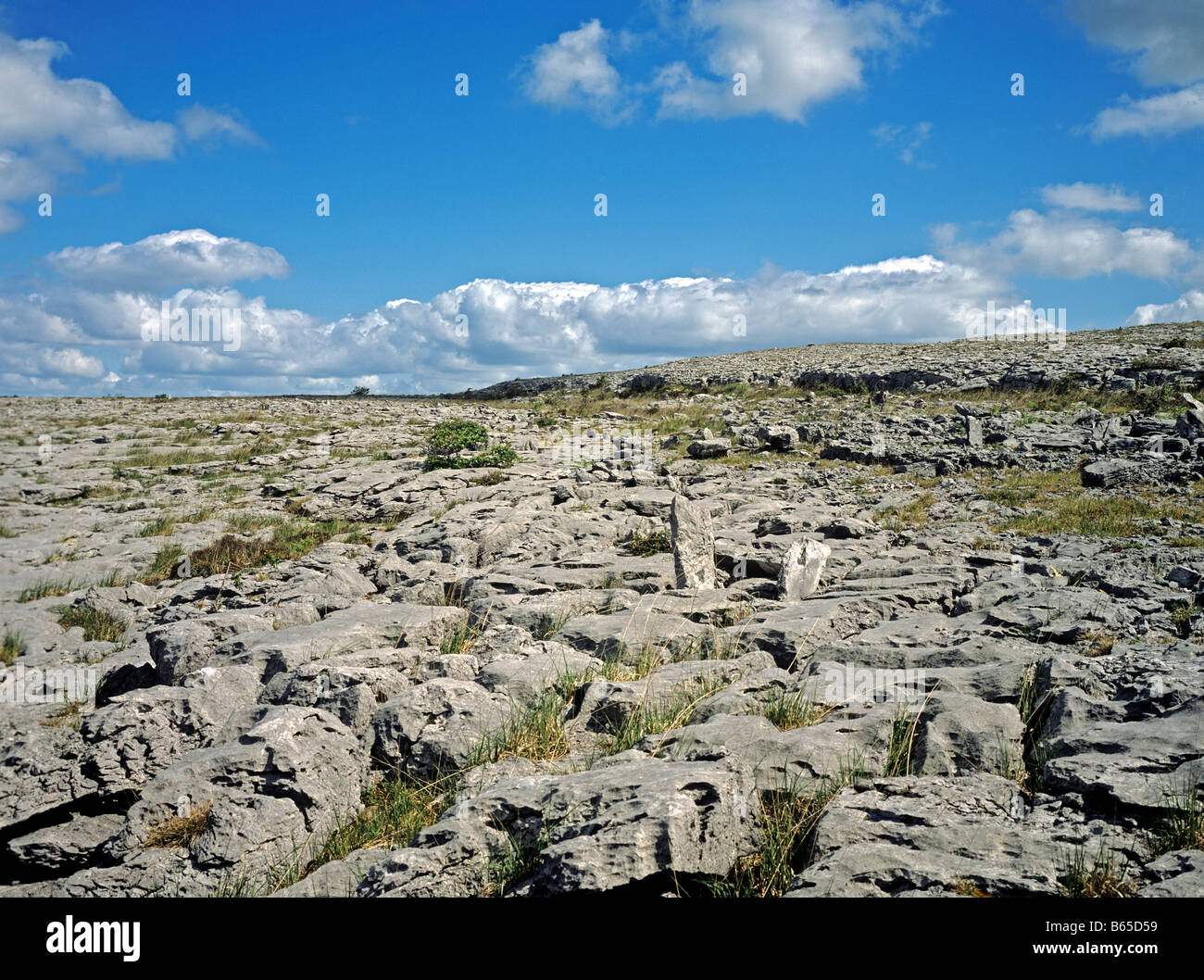 Indicated — Ballyconry (burren By., Carron Ed)