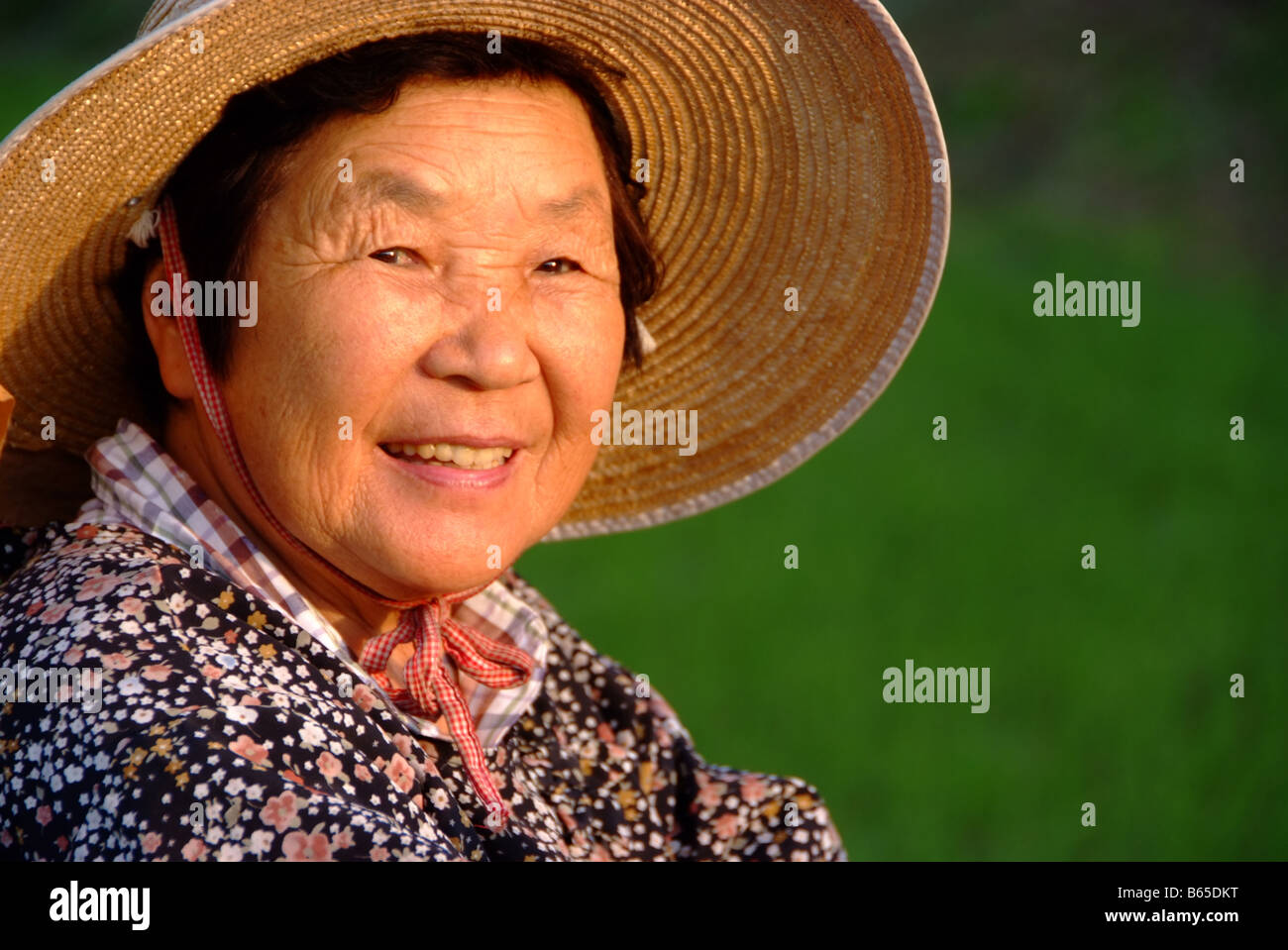 Elderly Japanese Worker Hi Res Stock Photography And Images Alamy