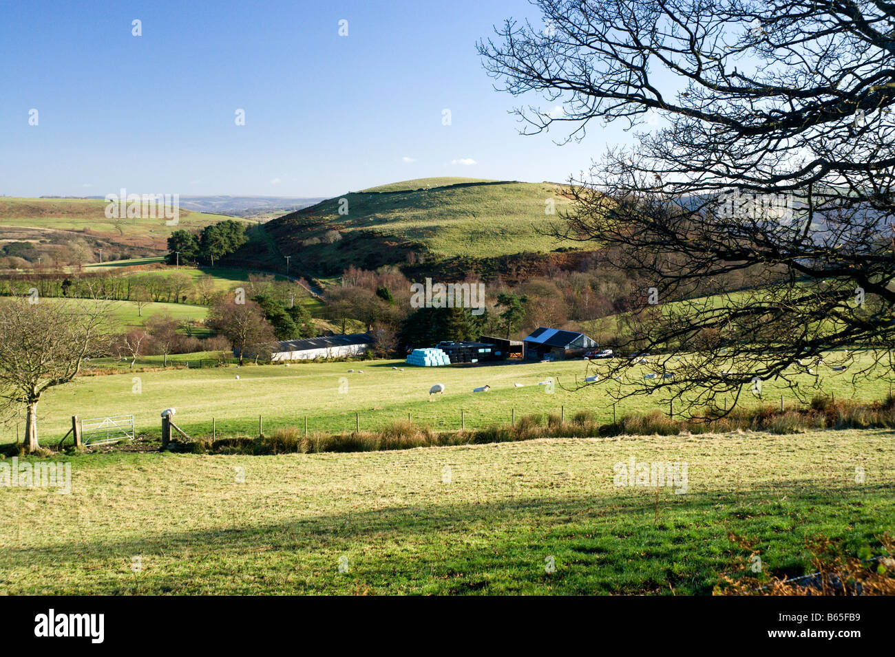 farmland and twyn y glog hill near pontypridd south wales valleys uk Stock Photo