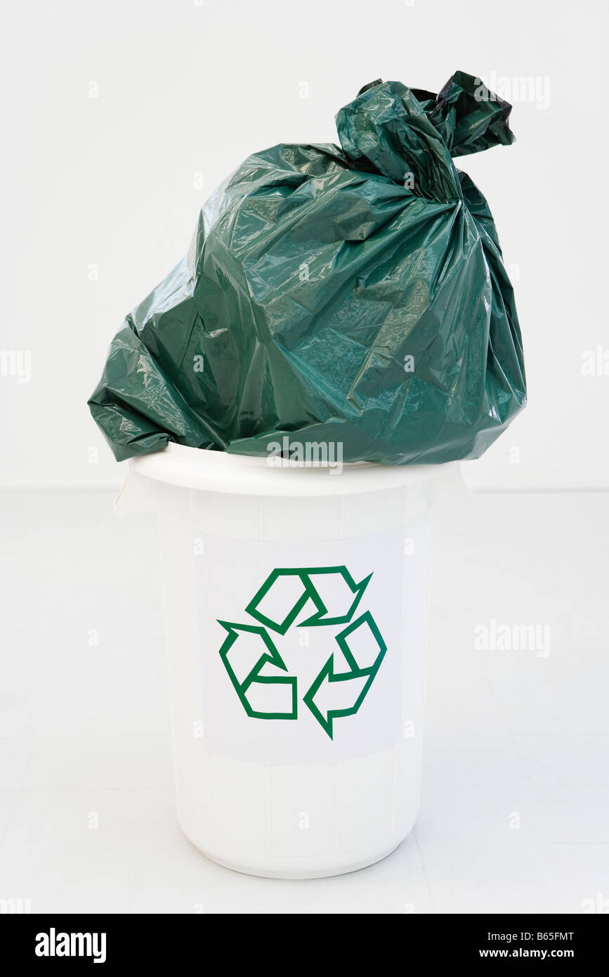 Public Plastic Bag Disposable Trash Bins Stock Photo 299593898