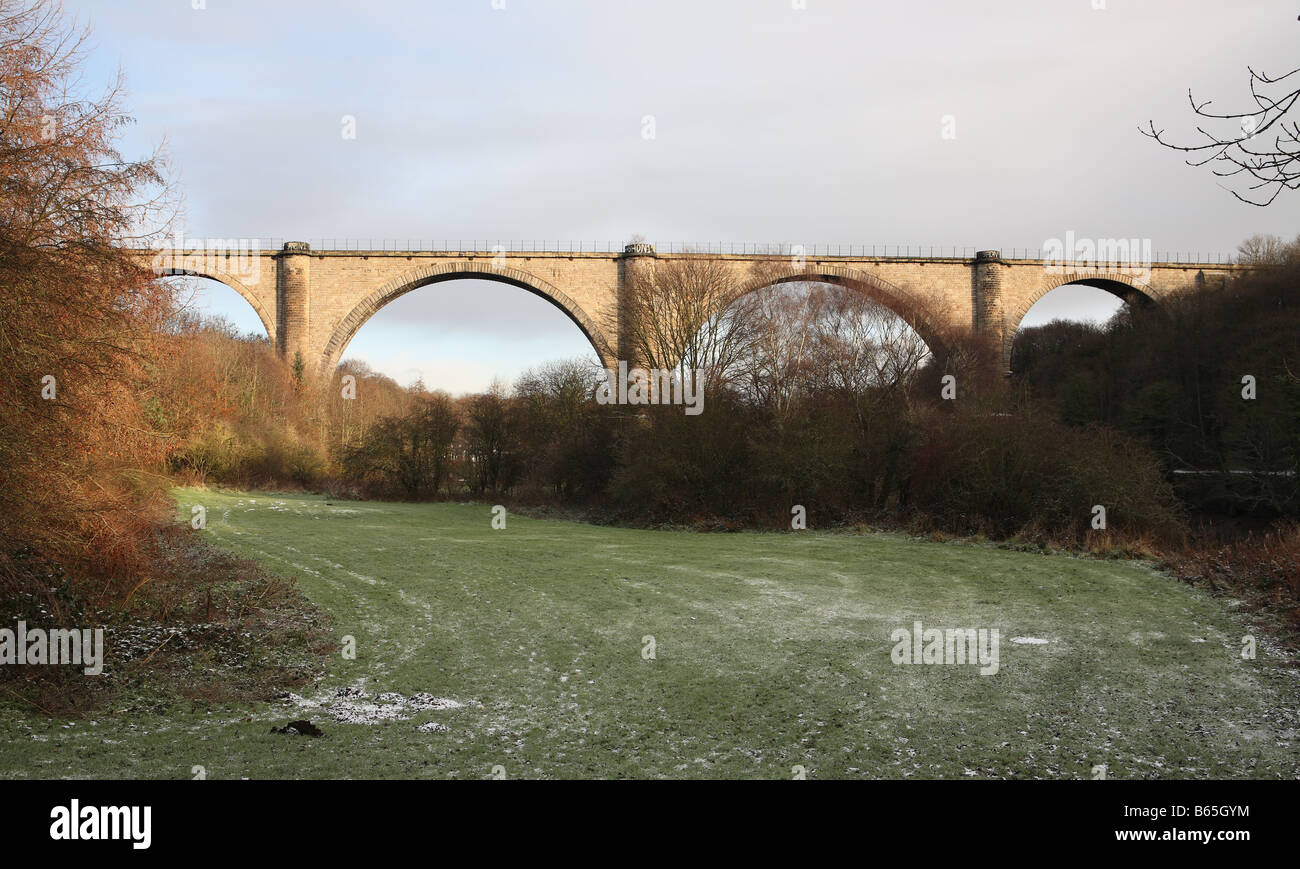 Victoria Viaduct, Washington, England, UK Stock Photo