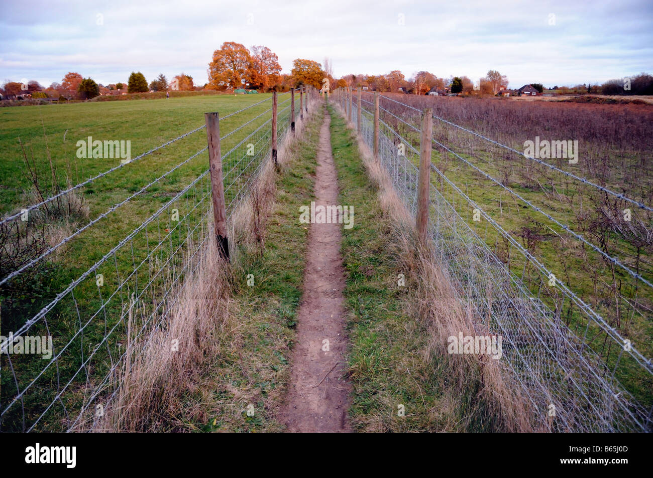 Two fences run along either side of a public footpath across fields one evening in Surrey, England. Stock Photo