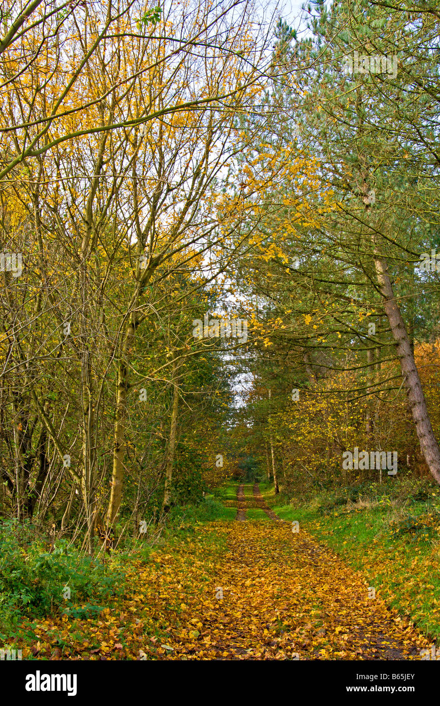 Snipe dale country park lincolnshire hi-res stock photography and ...