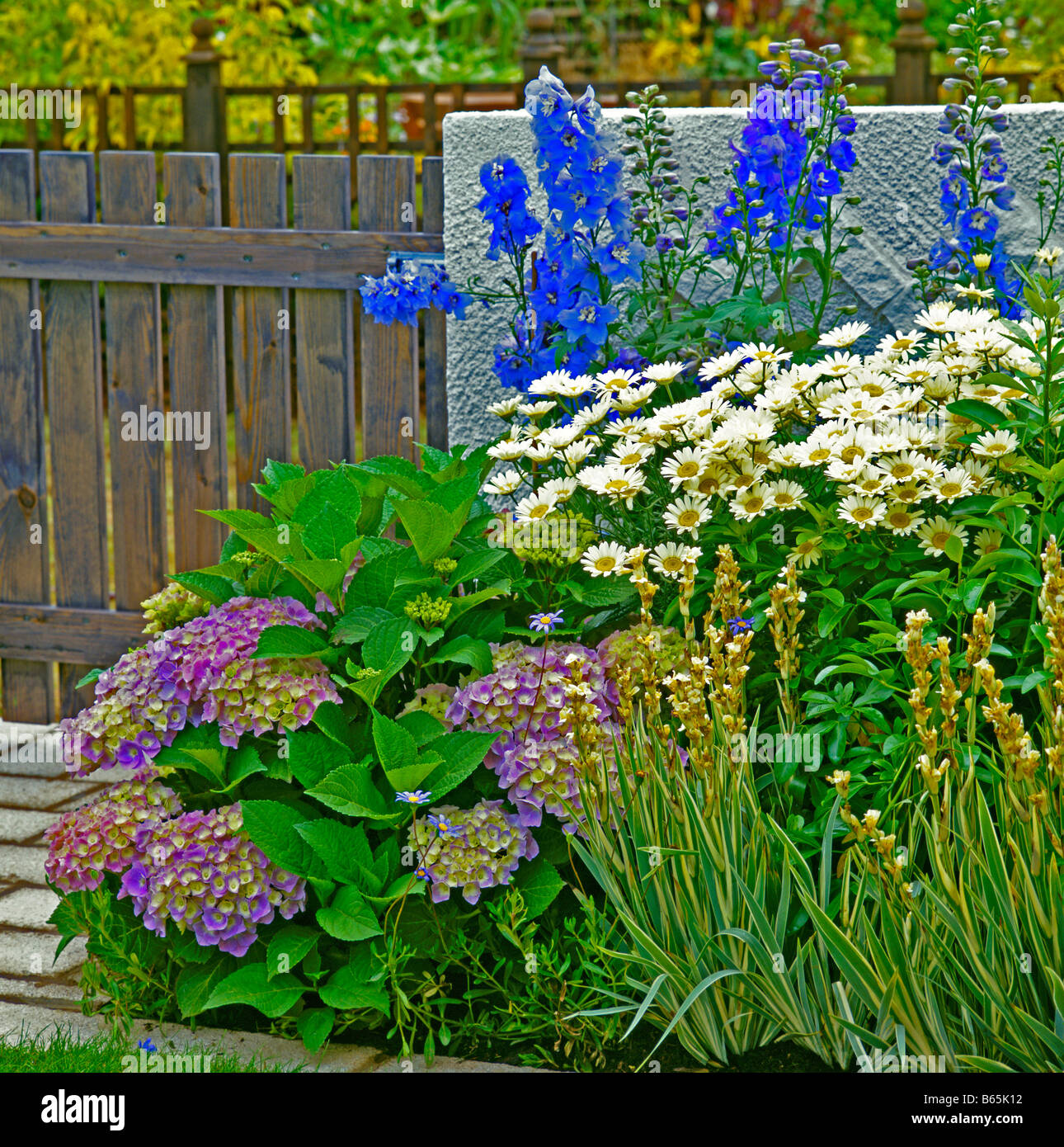 Delphinium border blue yellow hi-res stock photography and images - Alamy