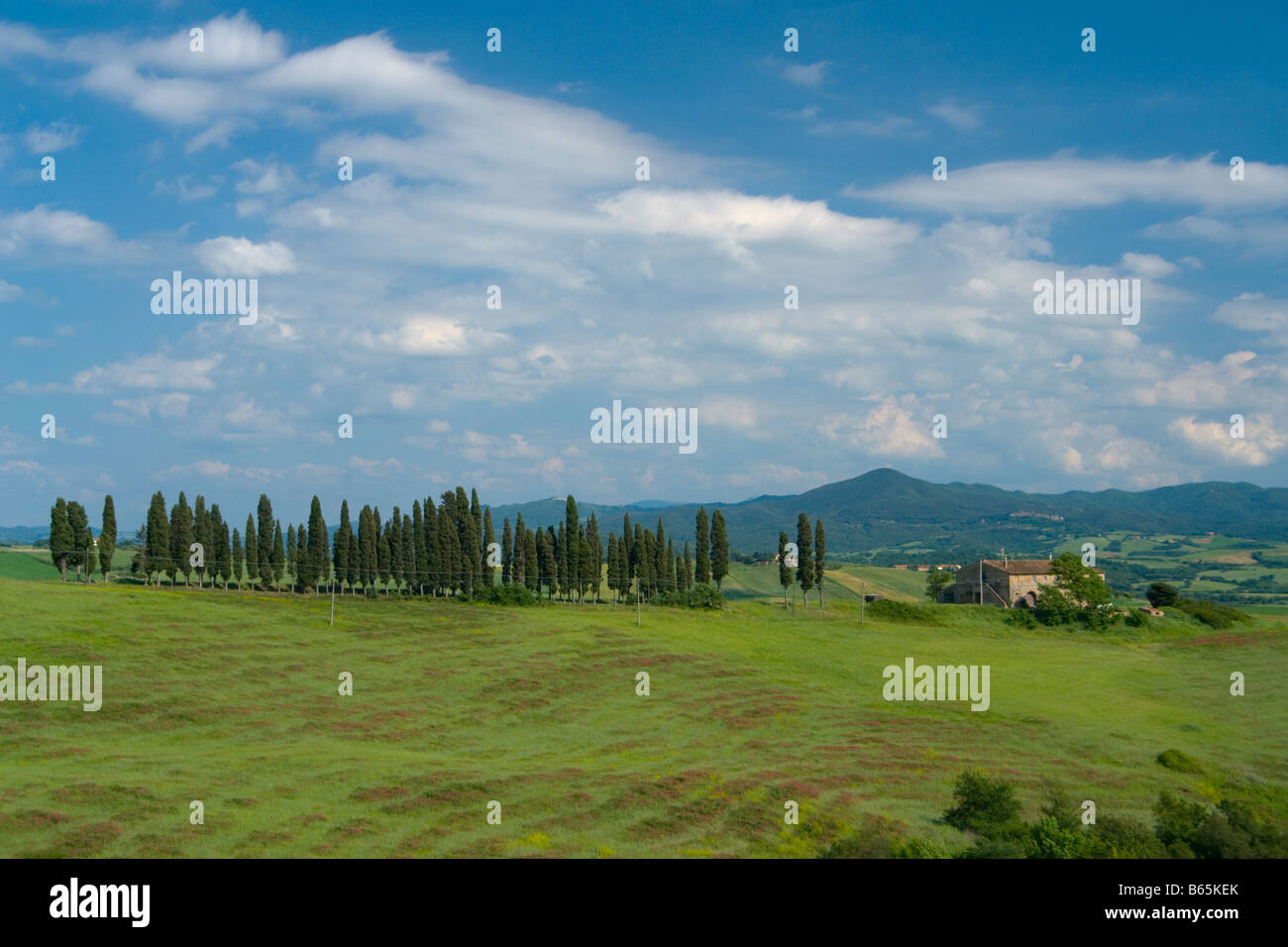 Landscape in Tuscany, Italy, Europe Stock Photo
