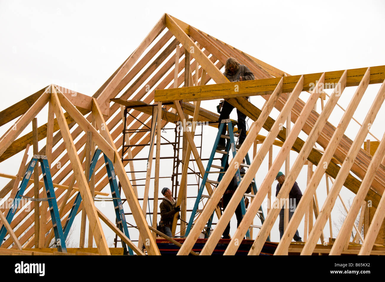 It takes team work and strength, to frame this 5000 square foot home, these men construct the roof together. Stock Photo