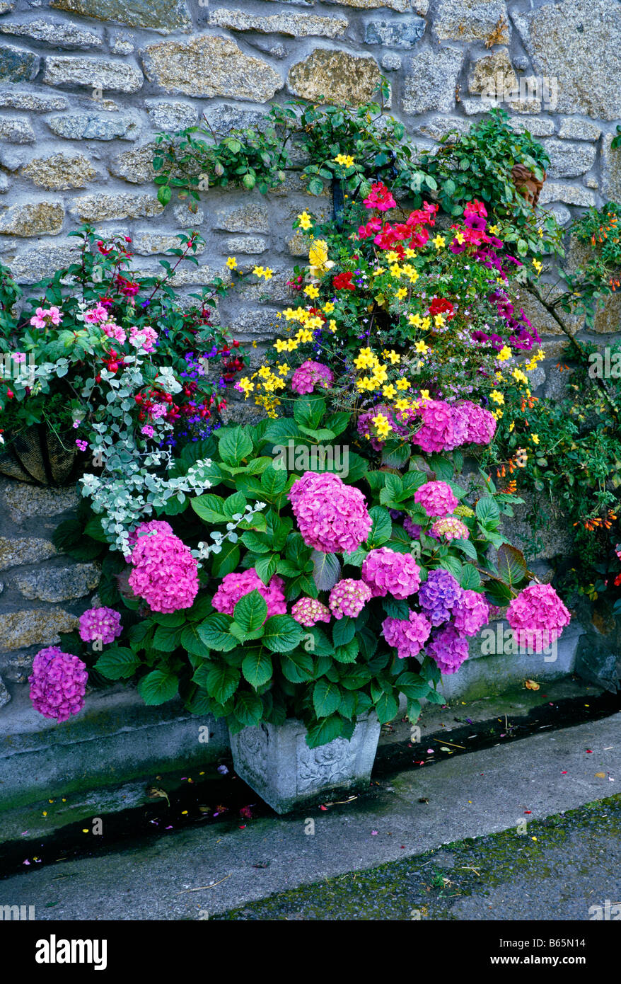 Colourful display of containers and wall baskets Stock Photo