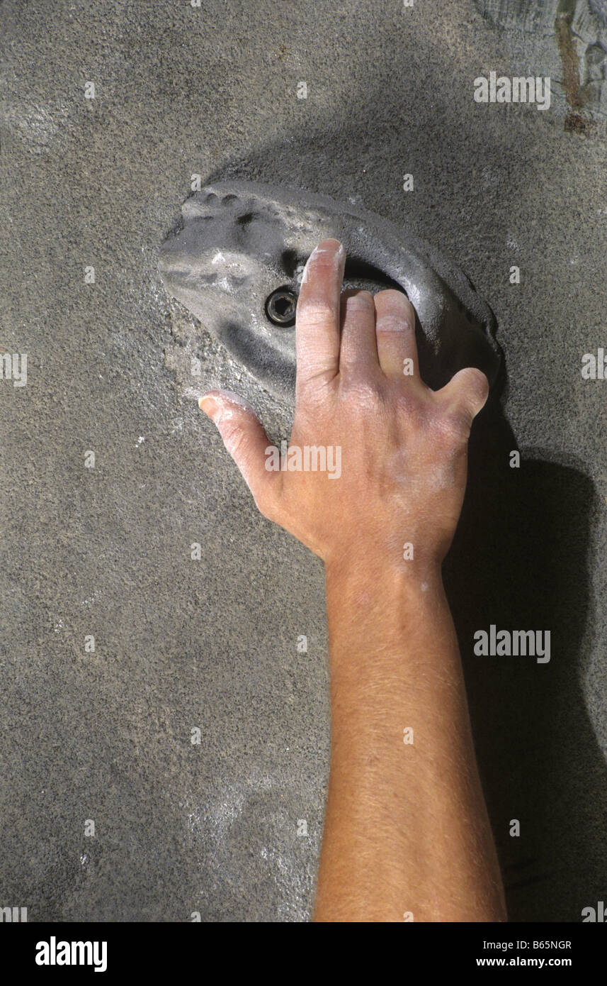 Detail of hand on wall climbing grip Stock Photo Alamy