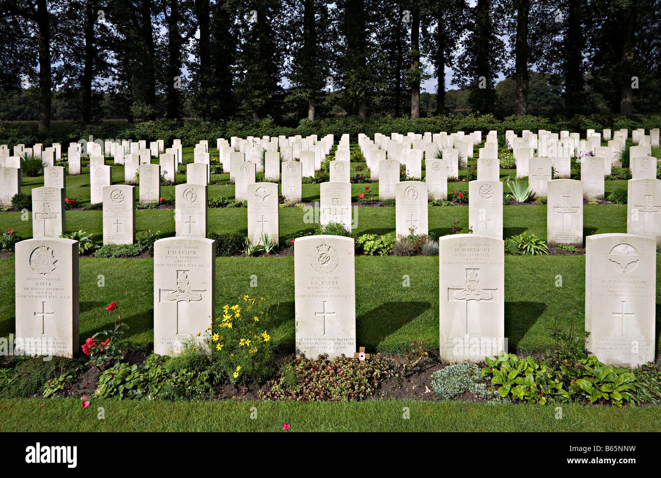 Rows of gravestones in war graves cemetery Arnhem Netherlands Stock Photo