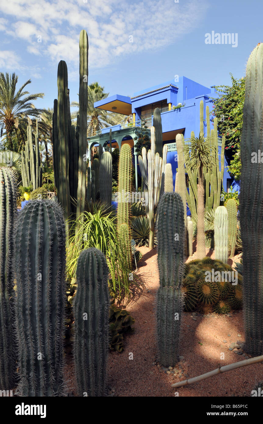 Jardin Majorelle Jardin Bou Saf Marrakech Marrakesh Morocco North Africa Majorelle's studio is now a Museum of Islamic Art Stock Photo
