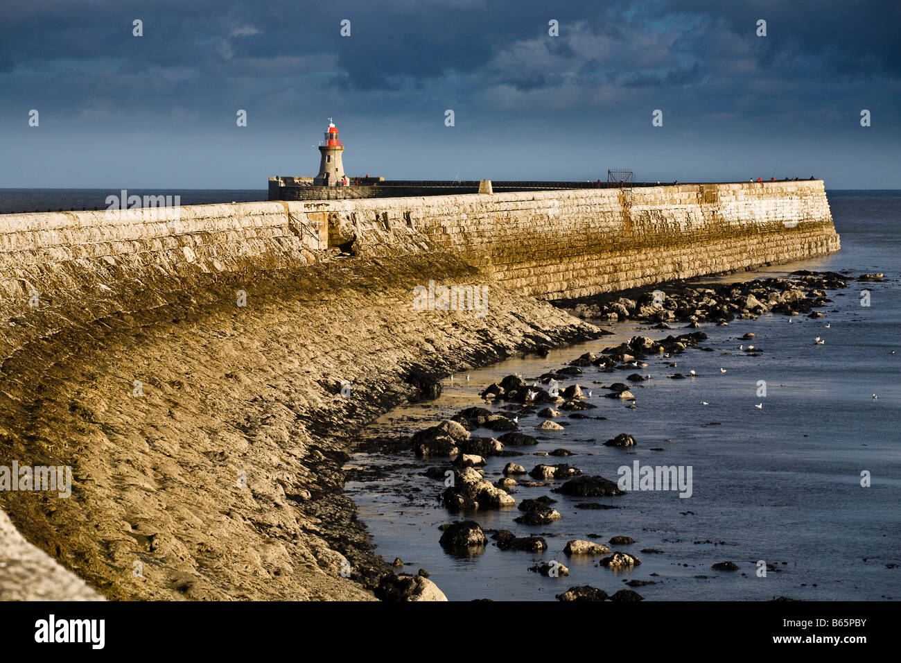 South shields coast hires stock photography and images Alamy