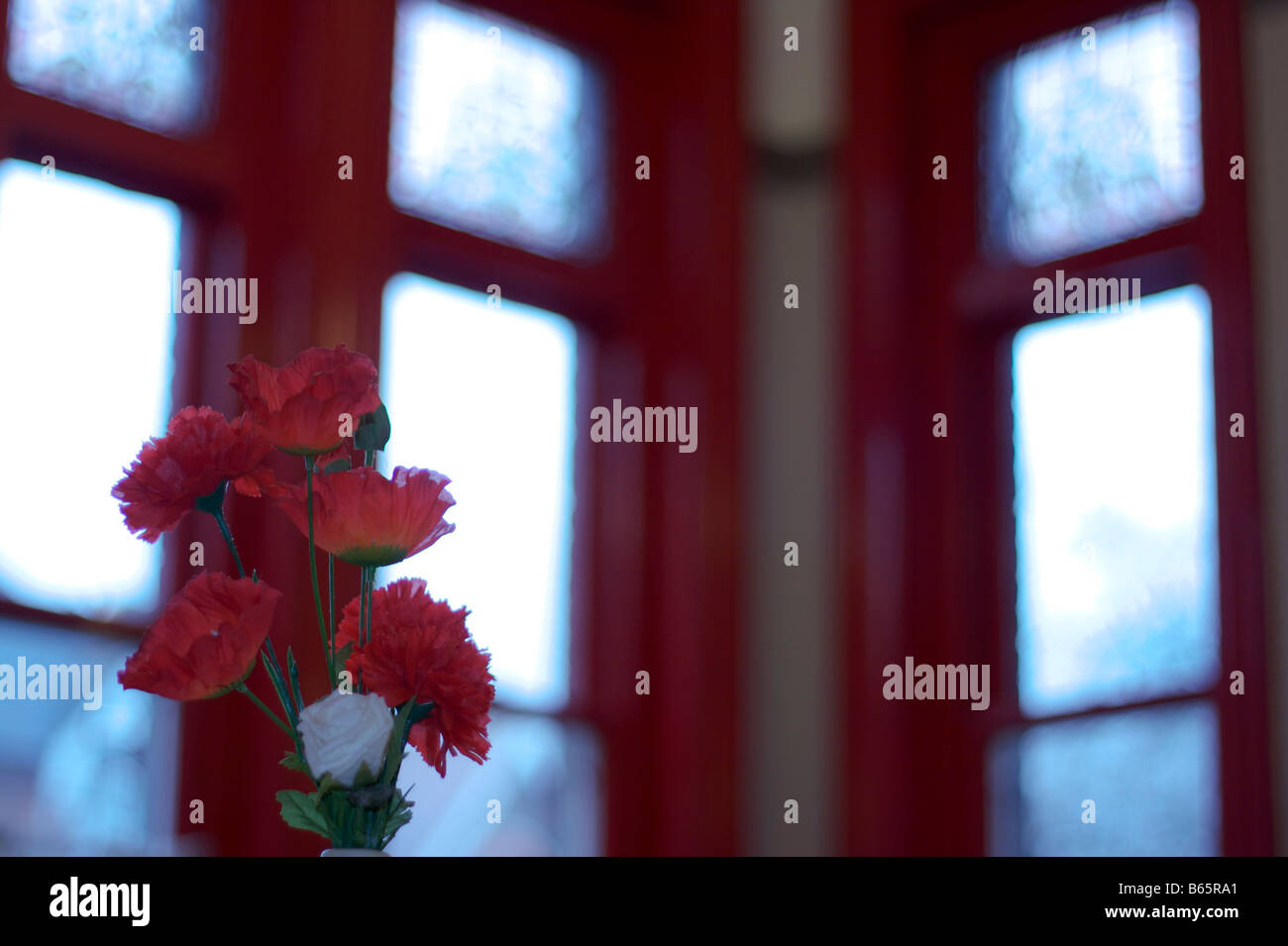 Flowers and windows; flores y ventana; sky; Stock Photo