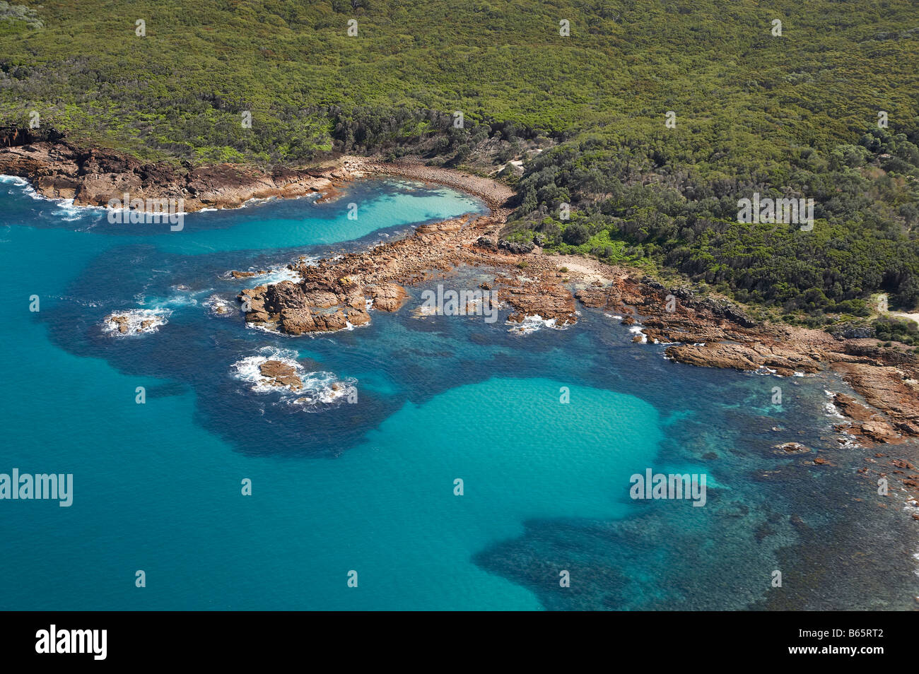 Big Skate Ocean Hi-res Stock Photography And Images - Alamy