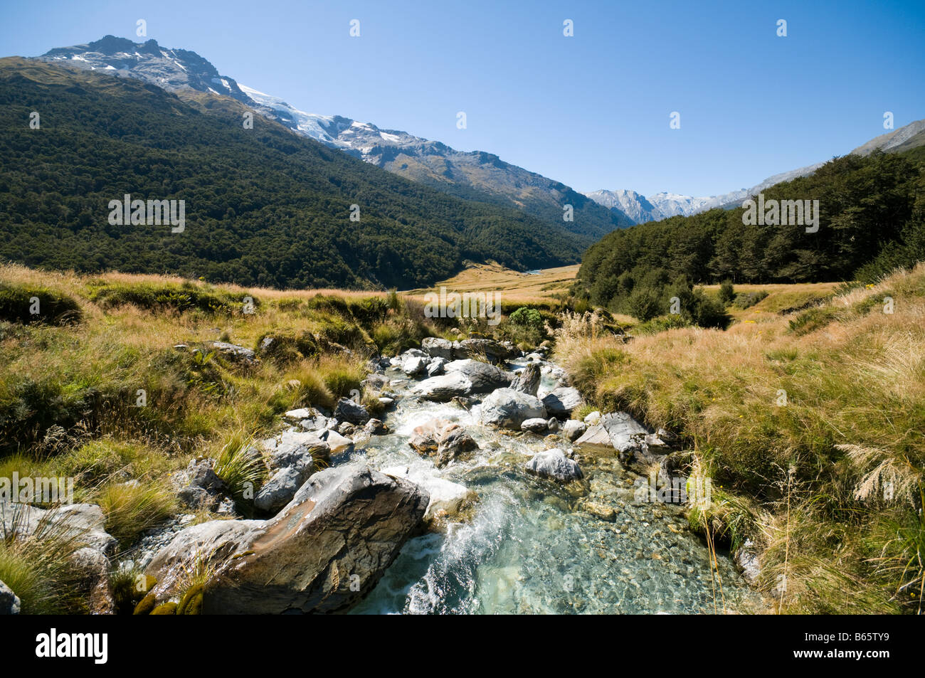 Barrier Ranges Peaks of the Barrier Range from the Dart River valley, Rees Dart track ...