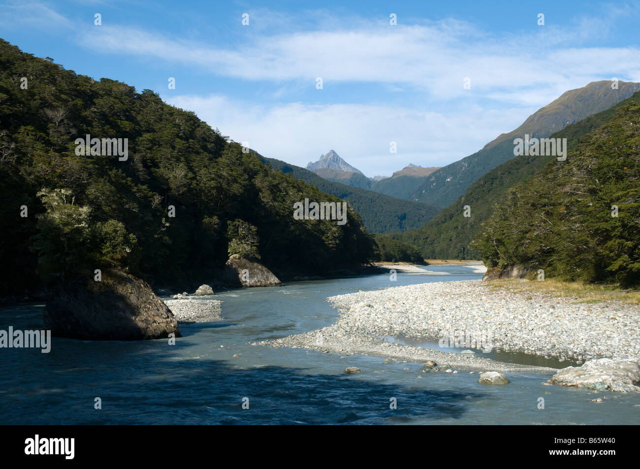 The Dart River valley, Rees Dart track, Mount Aspiring National Park, South Island, New Zealand Stock Photo