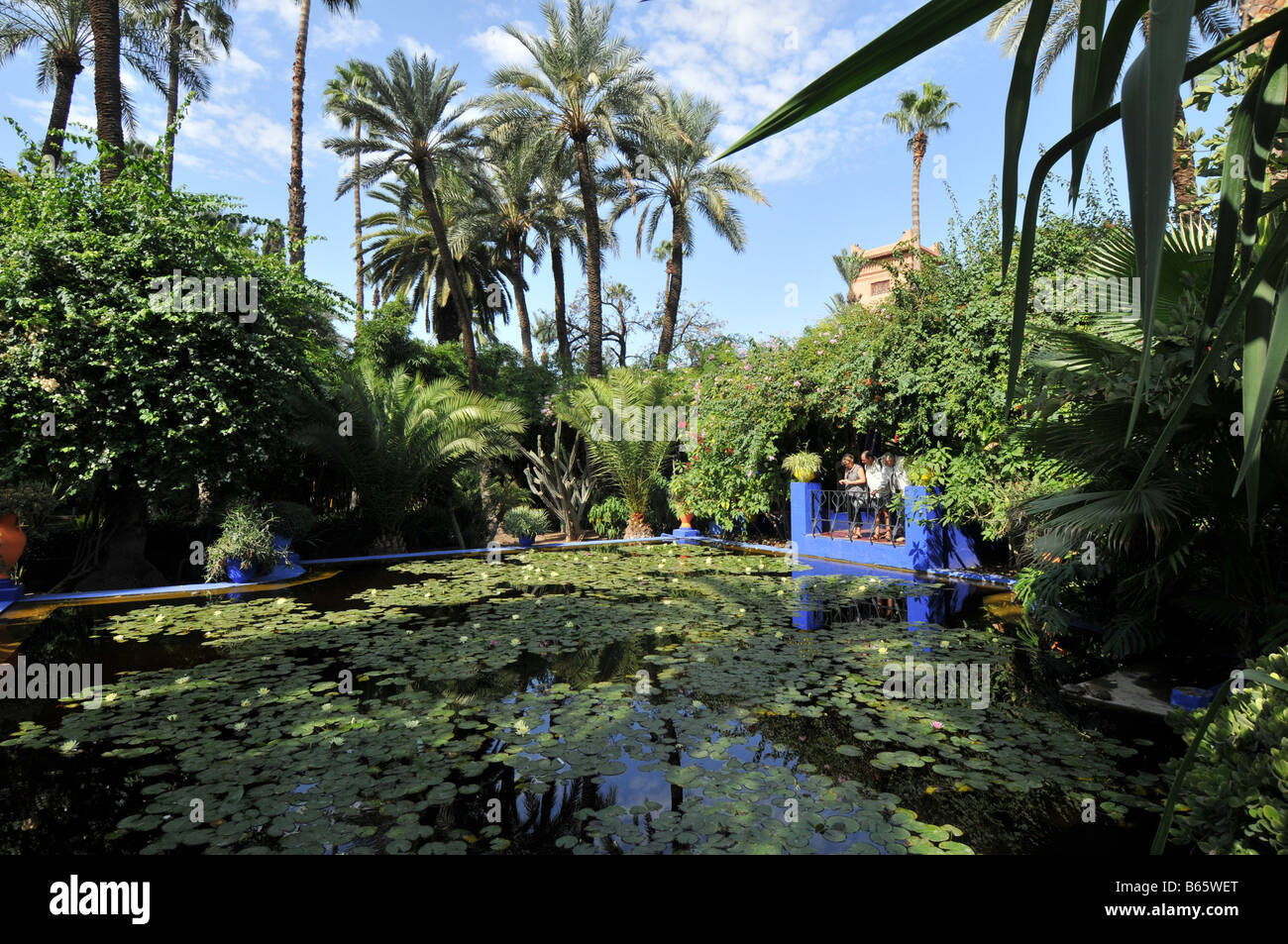 Lily pond in Majorelle gardens, Ville Nouvelle, Marrakech, Morocco Stock Photo