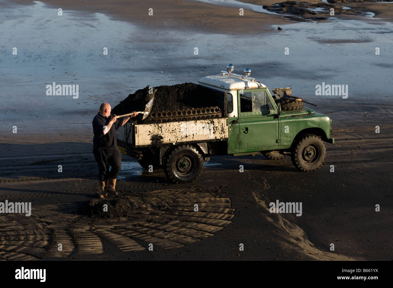 Collecting Sea Coal Stock Photo