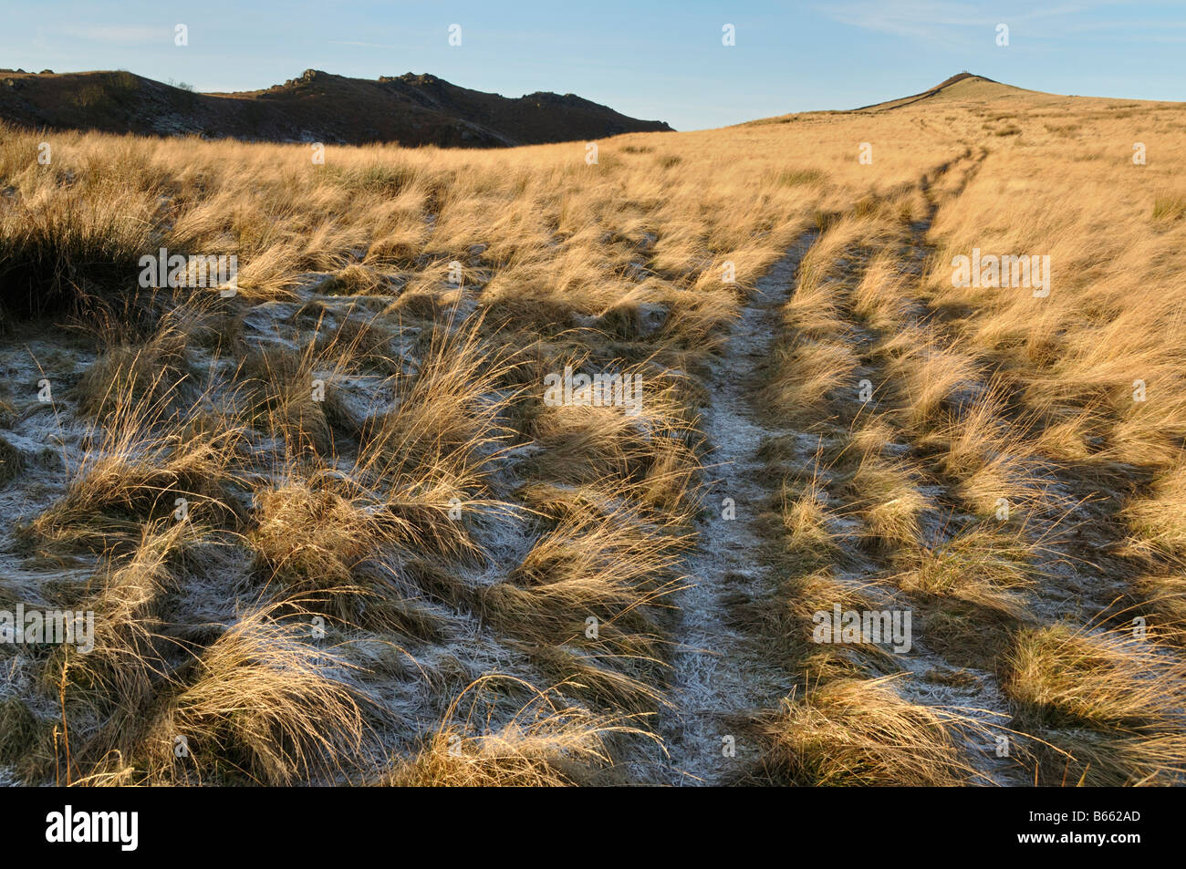 Sharp Haw Track across moorland Sharp Haw Skipton Yorkshire Stock Photo - Alamy