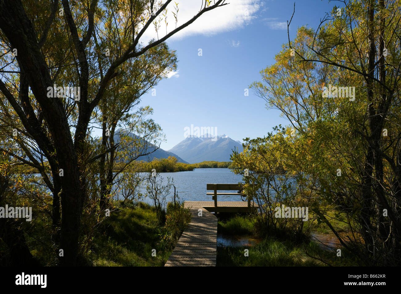 Mount Earnslaw, or Pikirakatahi, from the lagoons, Glenorchy, South Island, New Zealand Stock Photo